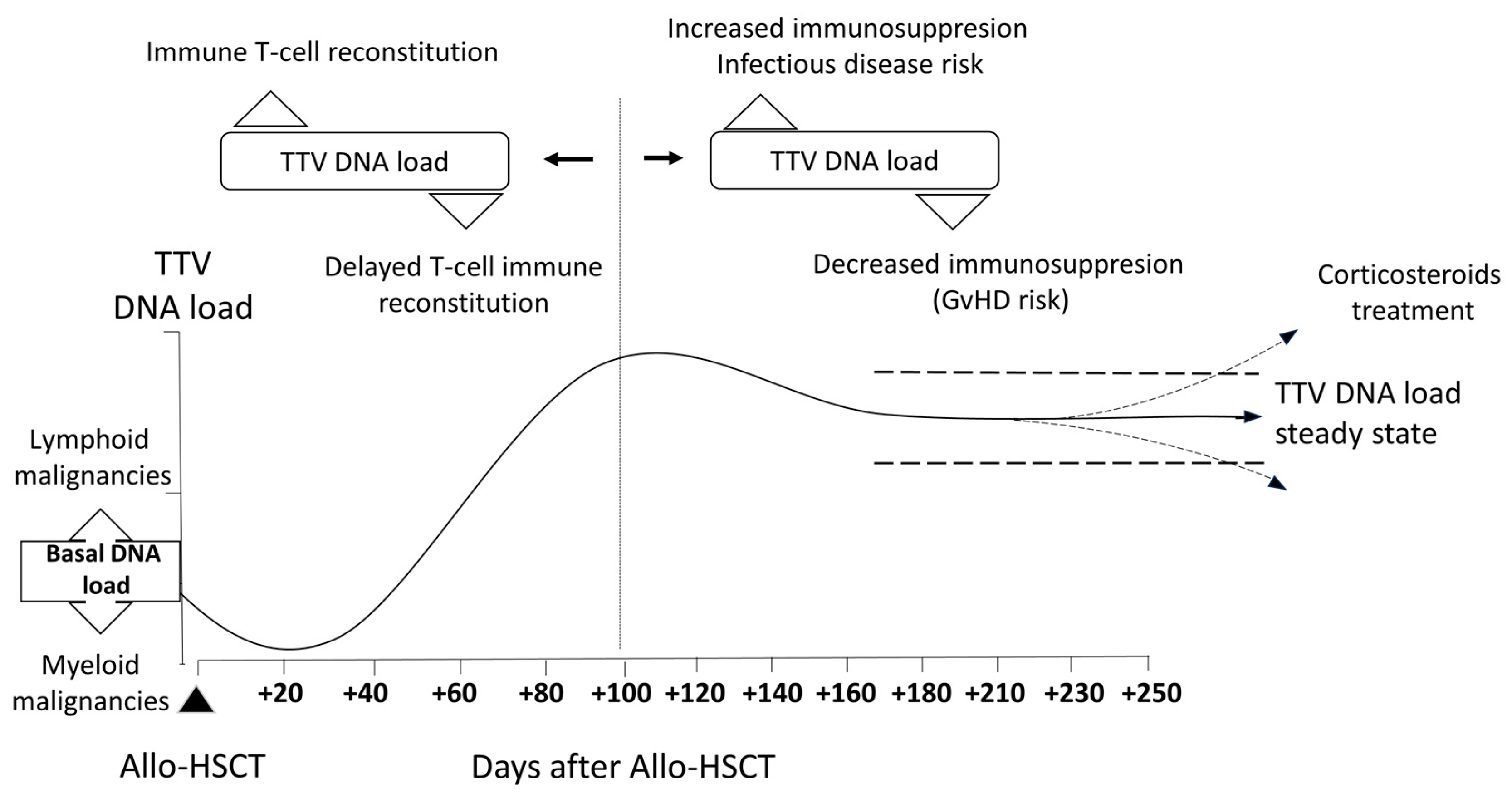 Viruses 16 00459 g001