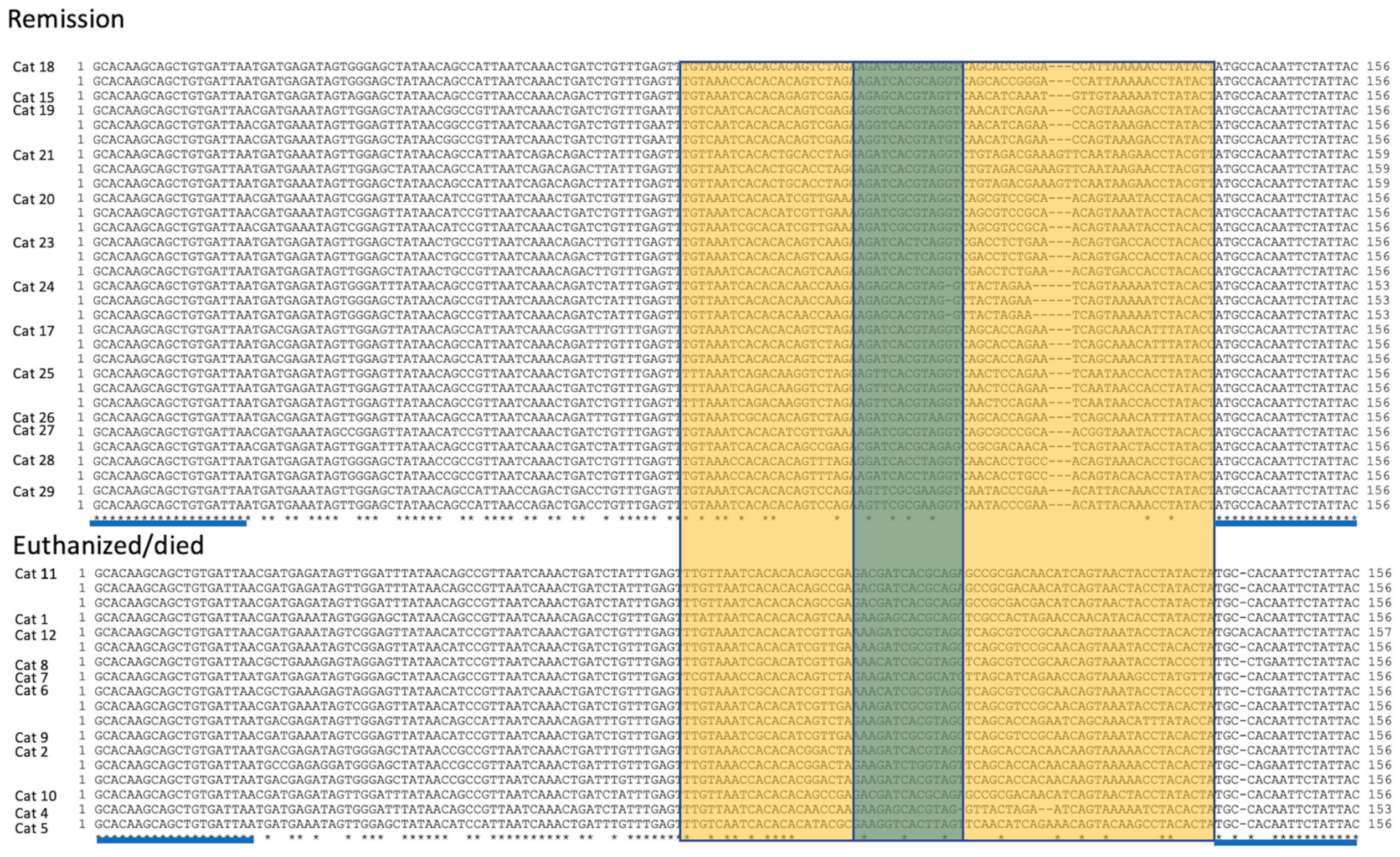 Viruses 16 00462 g008