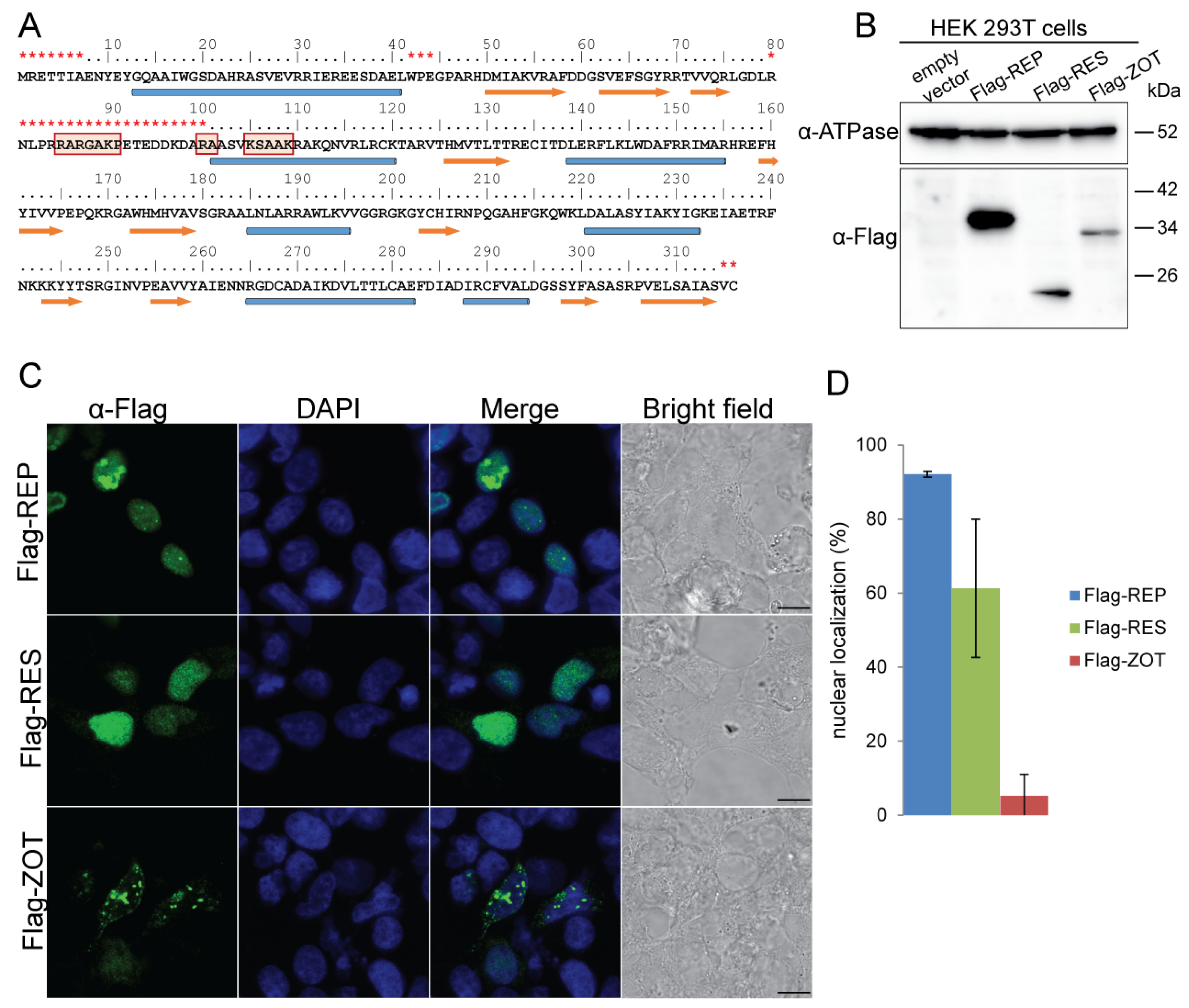 Viruses 16 00475 g002