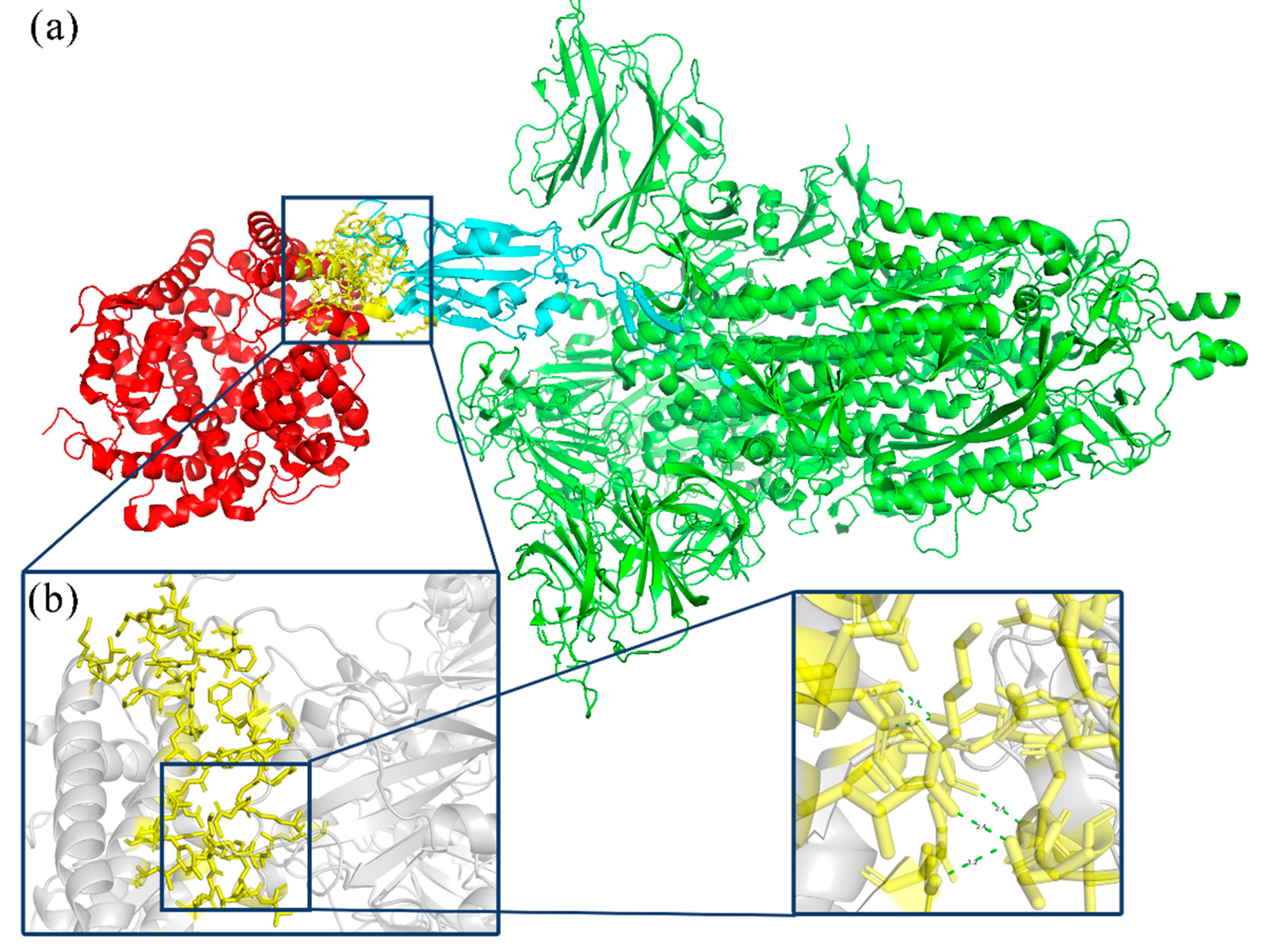 Viruses 16 00477 g001