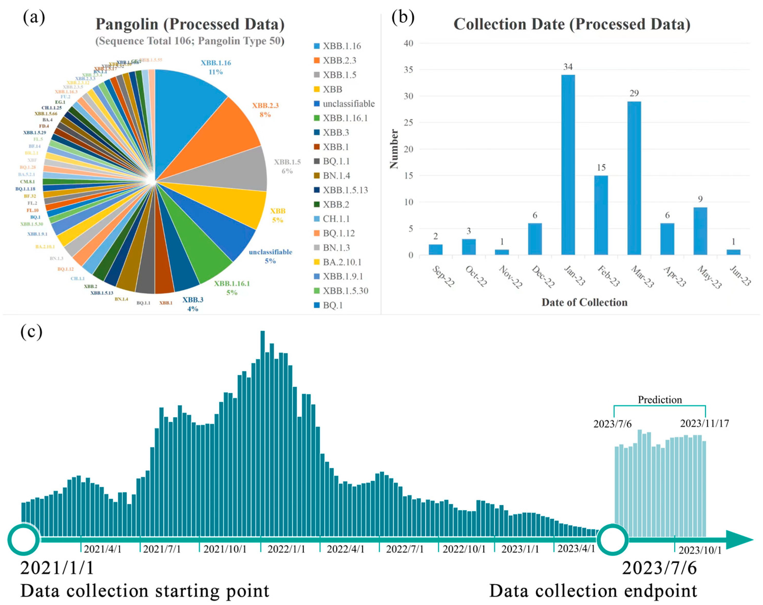Viruses 16 00477 g002