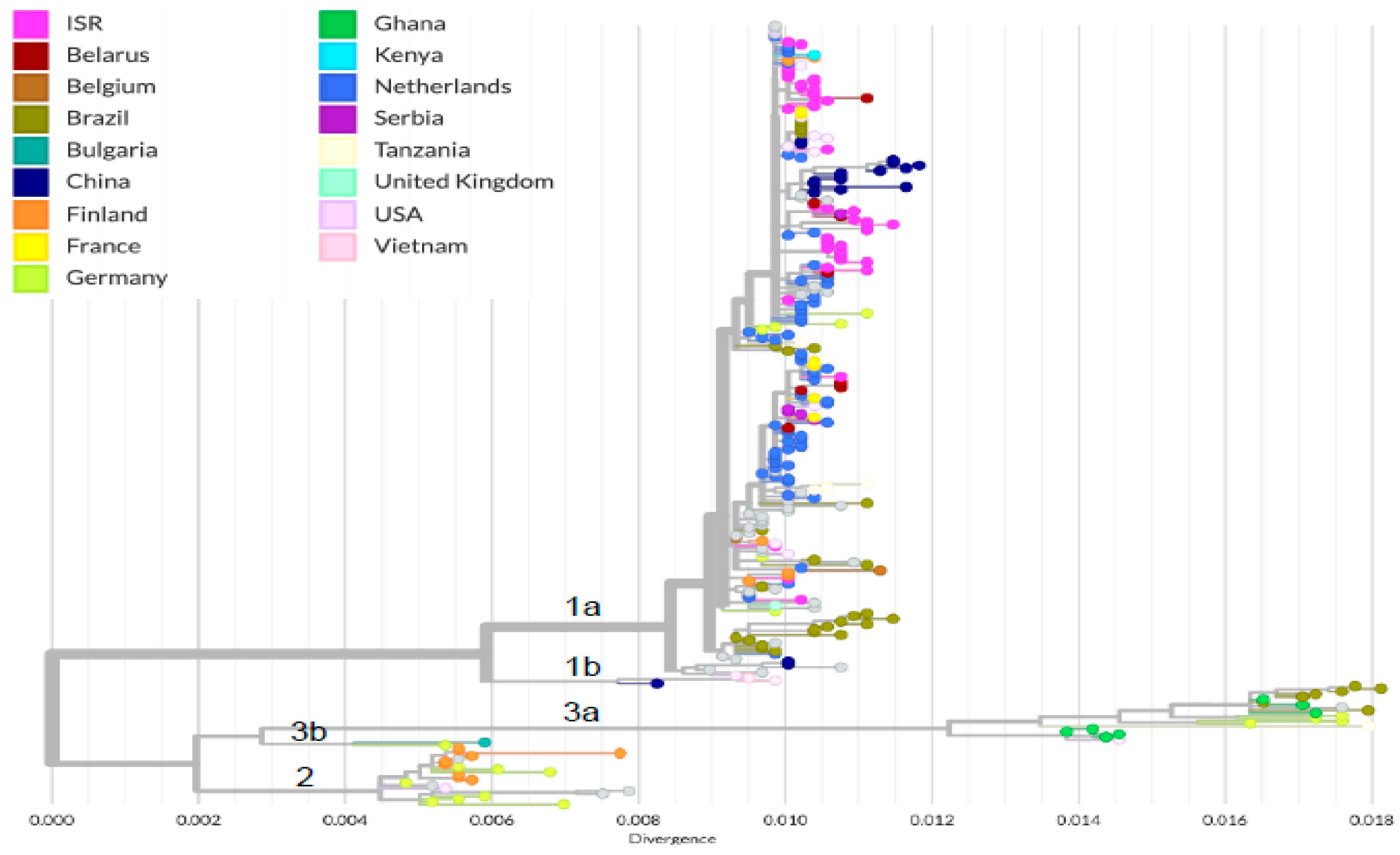 Viruses 16 00480 g004 Viruses 16 00480 g004