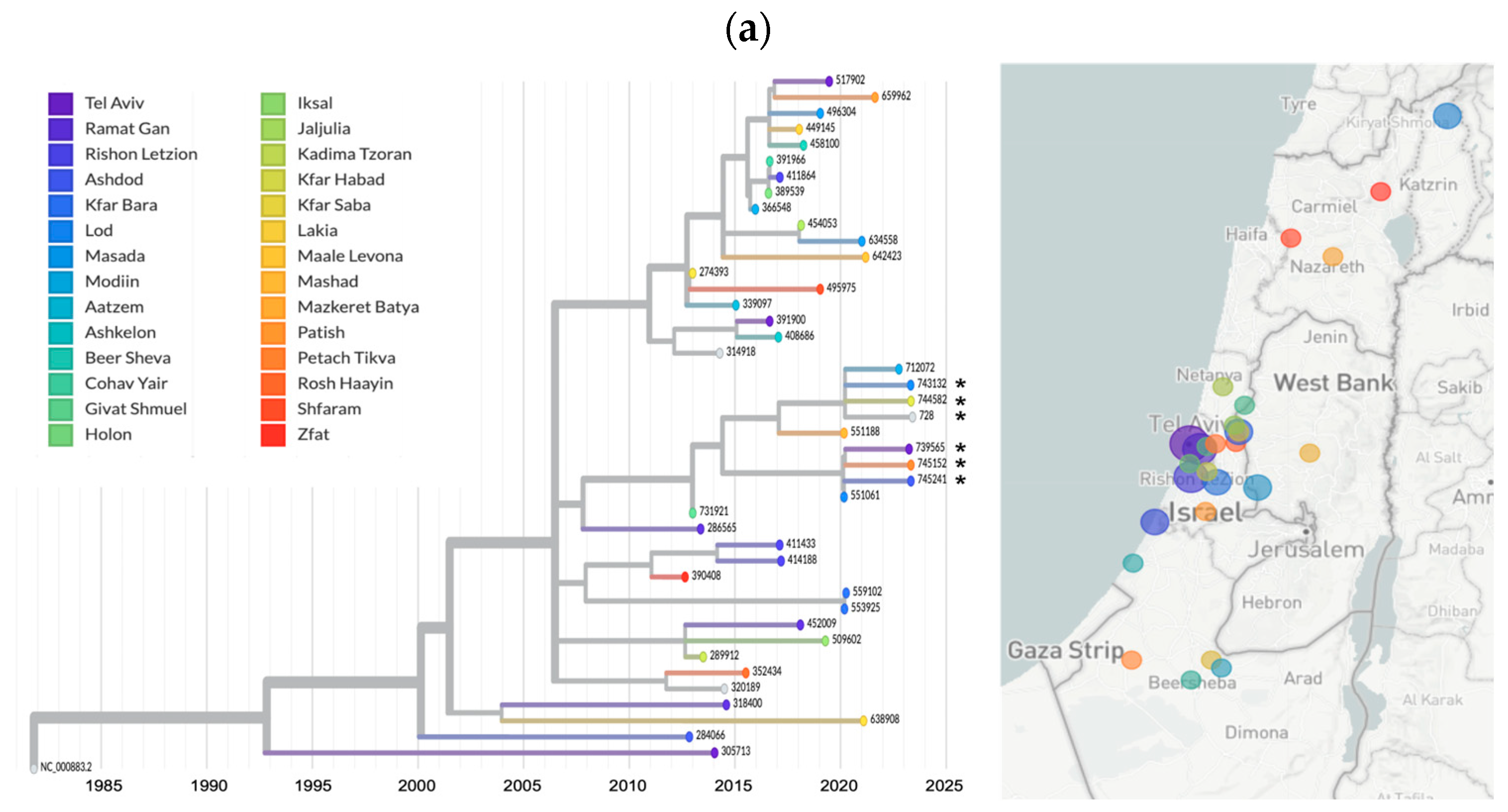 Viruses 16 00480 g005a Viruses 16 00480 g005a