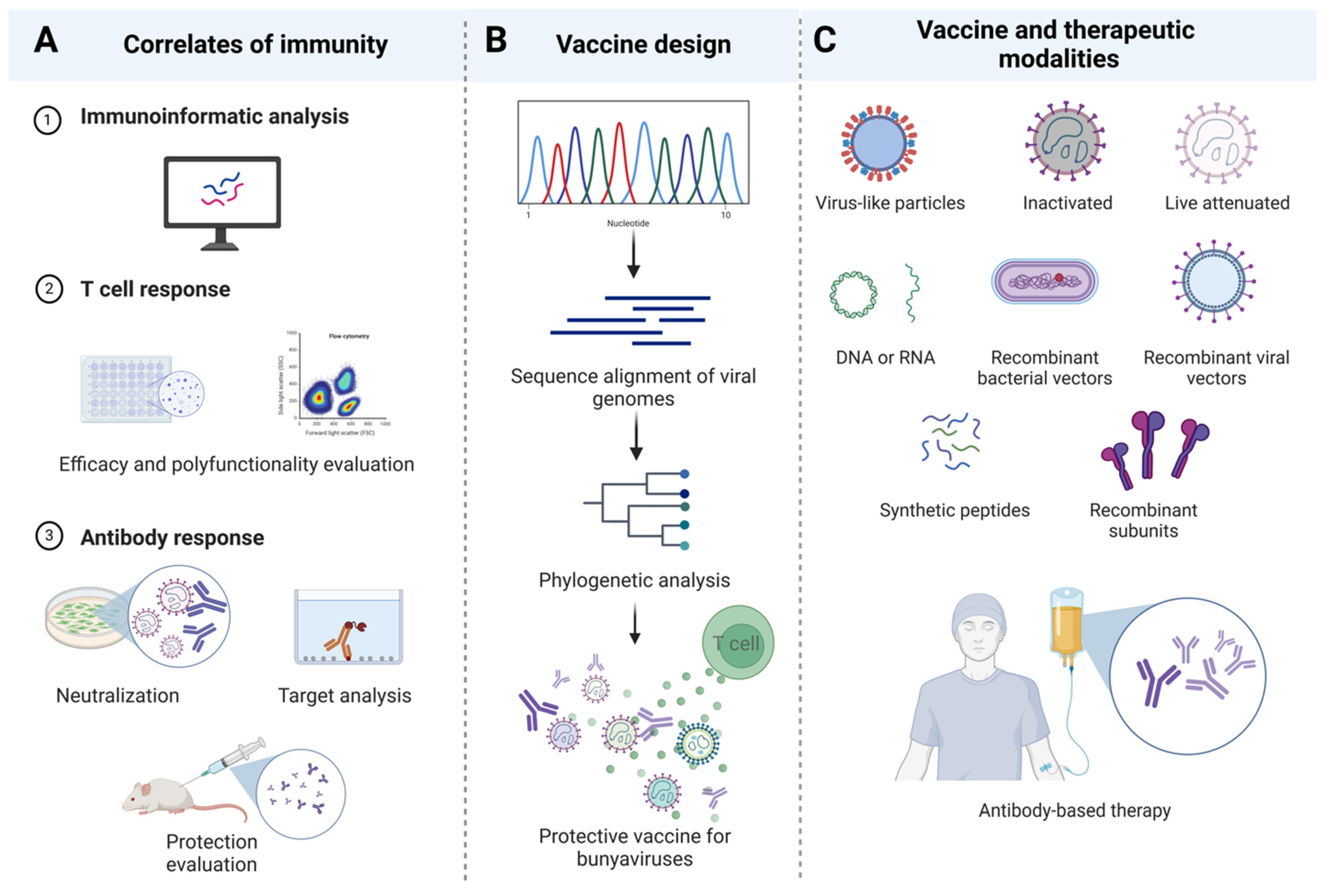 Viruses 16 00483 g002