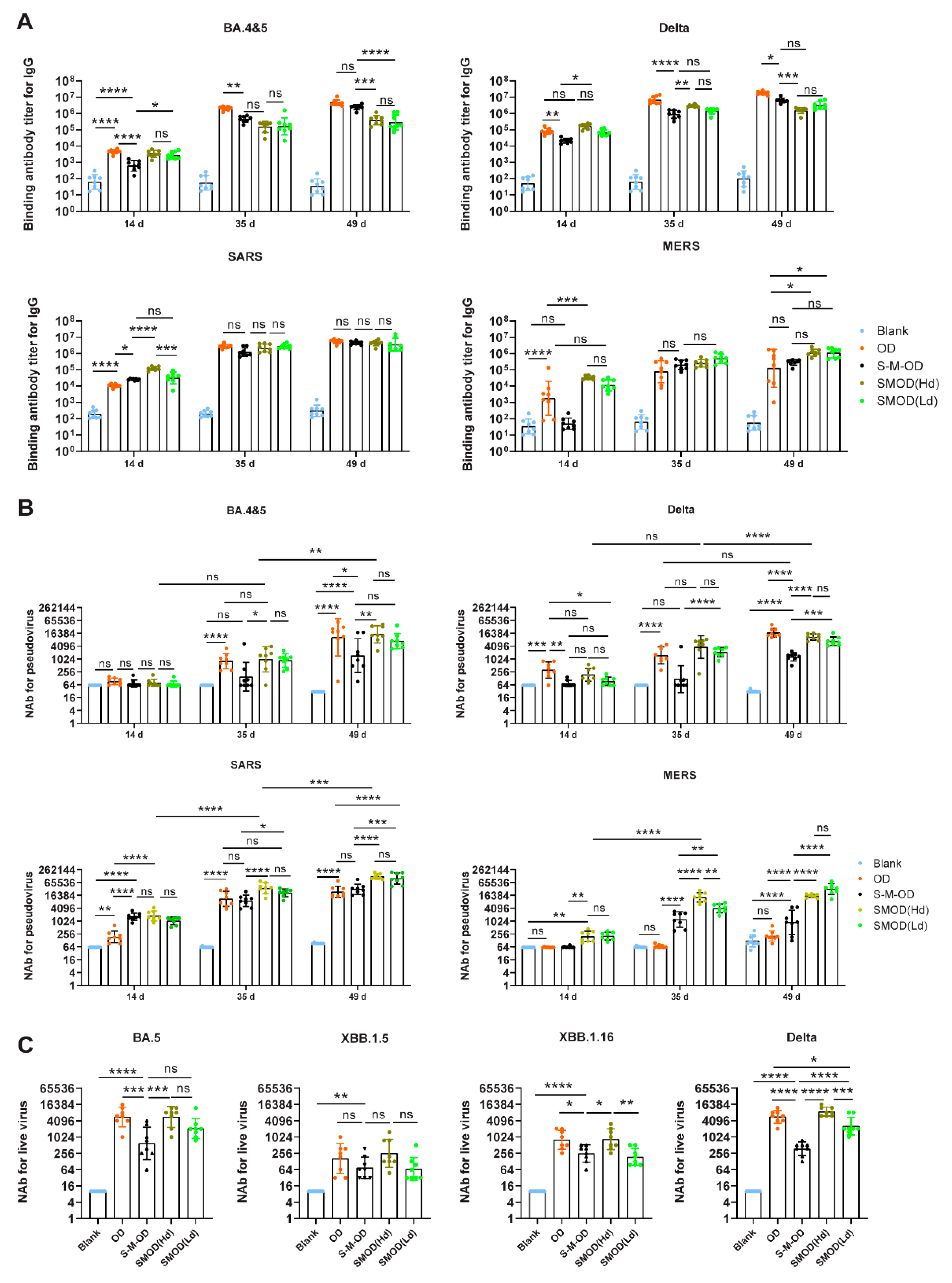 Viruses 16 00484 g004
