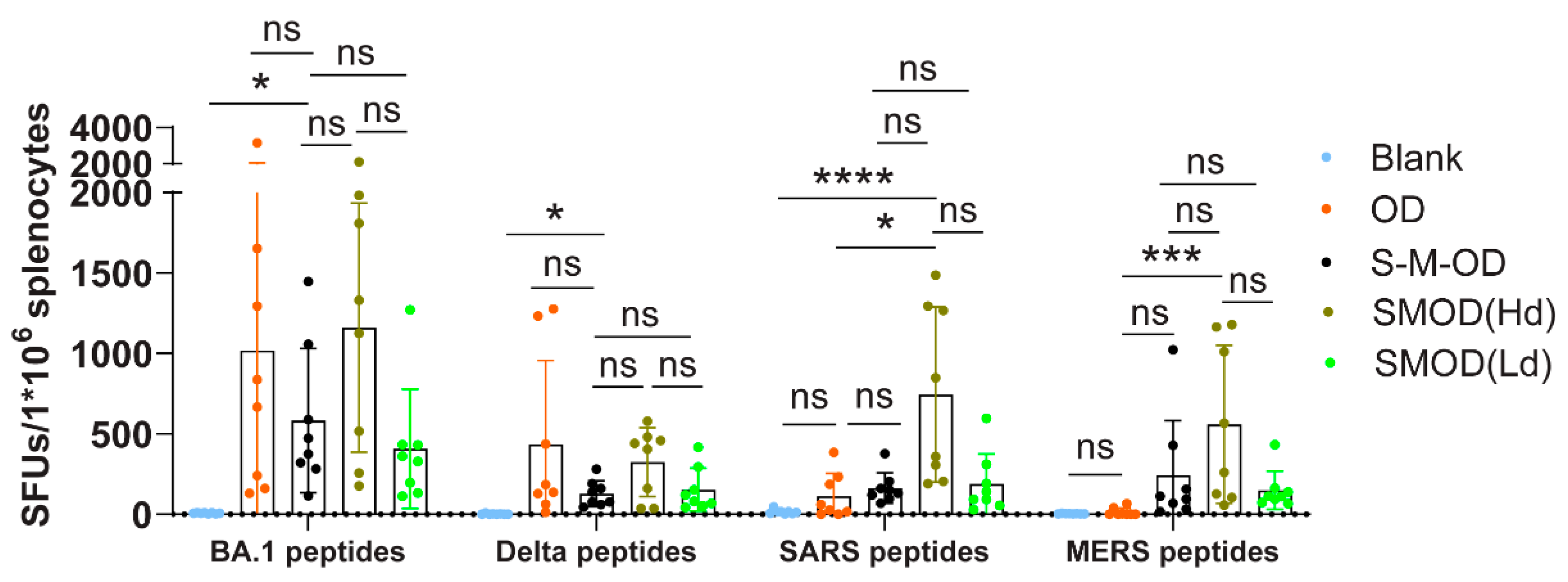 Viruses 16 00484 g005