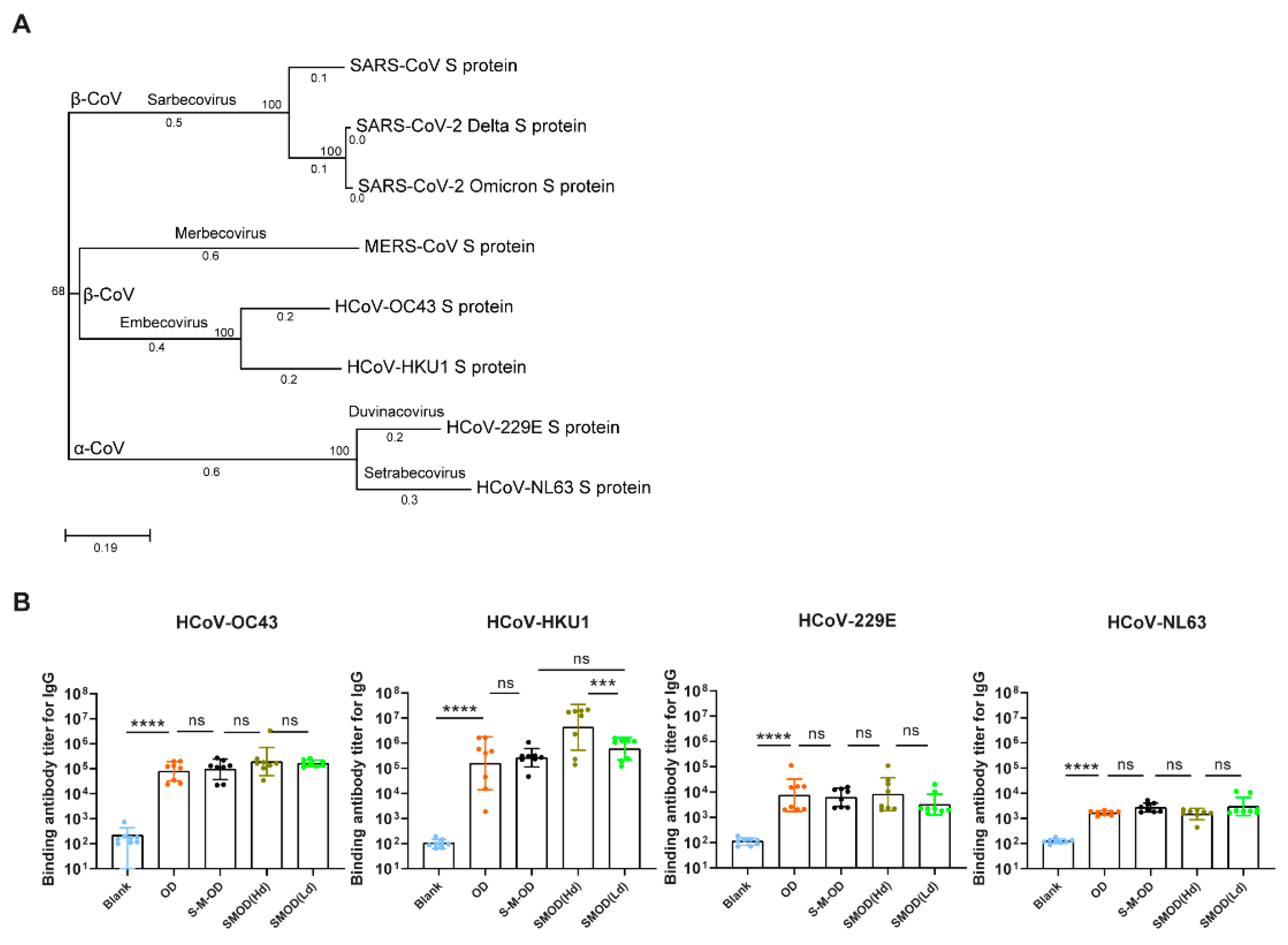 Viruses 16 00484 g006