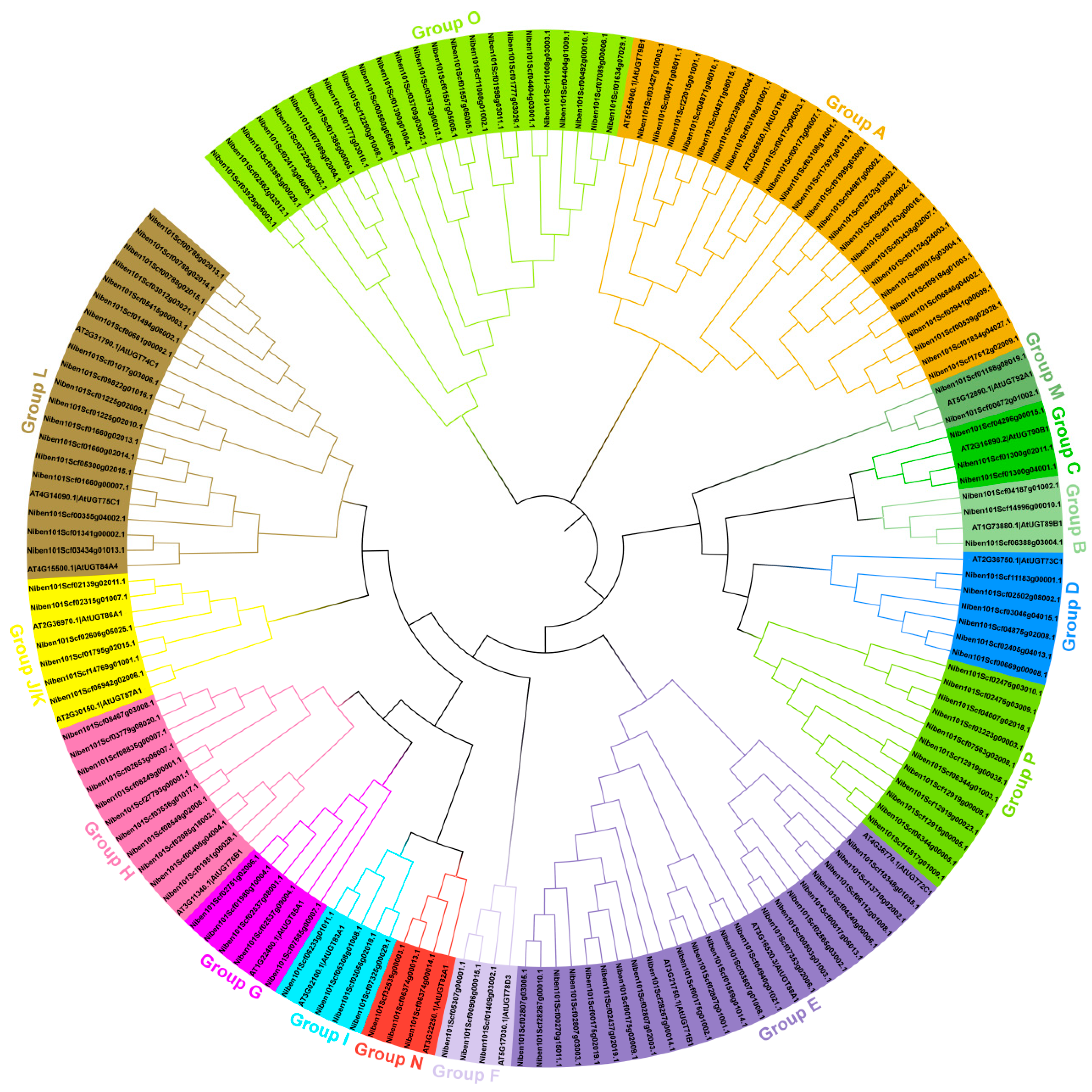 Viruses 16 00489 g001