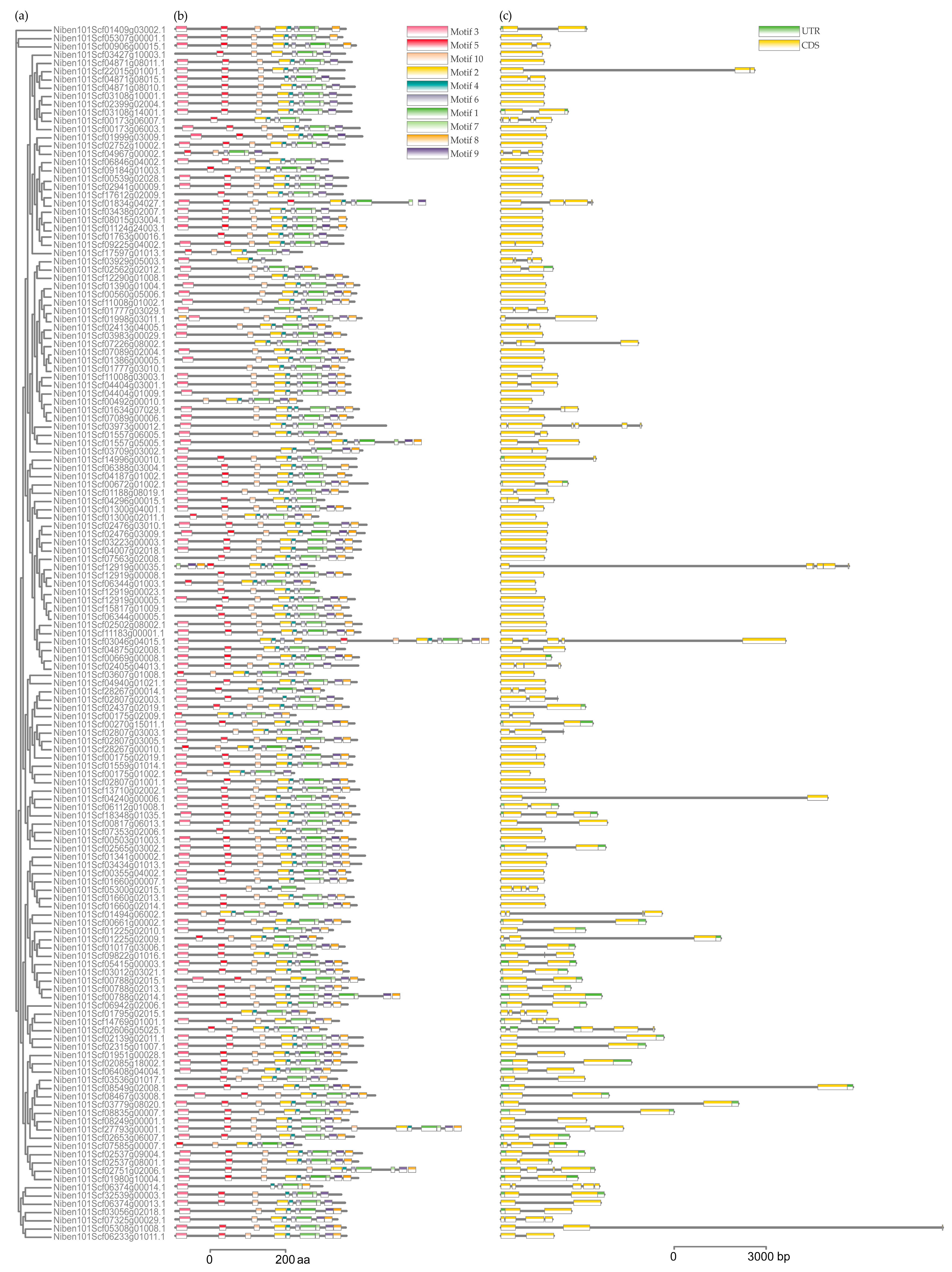 Viruses 16 00489 g002