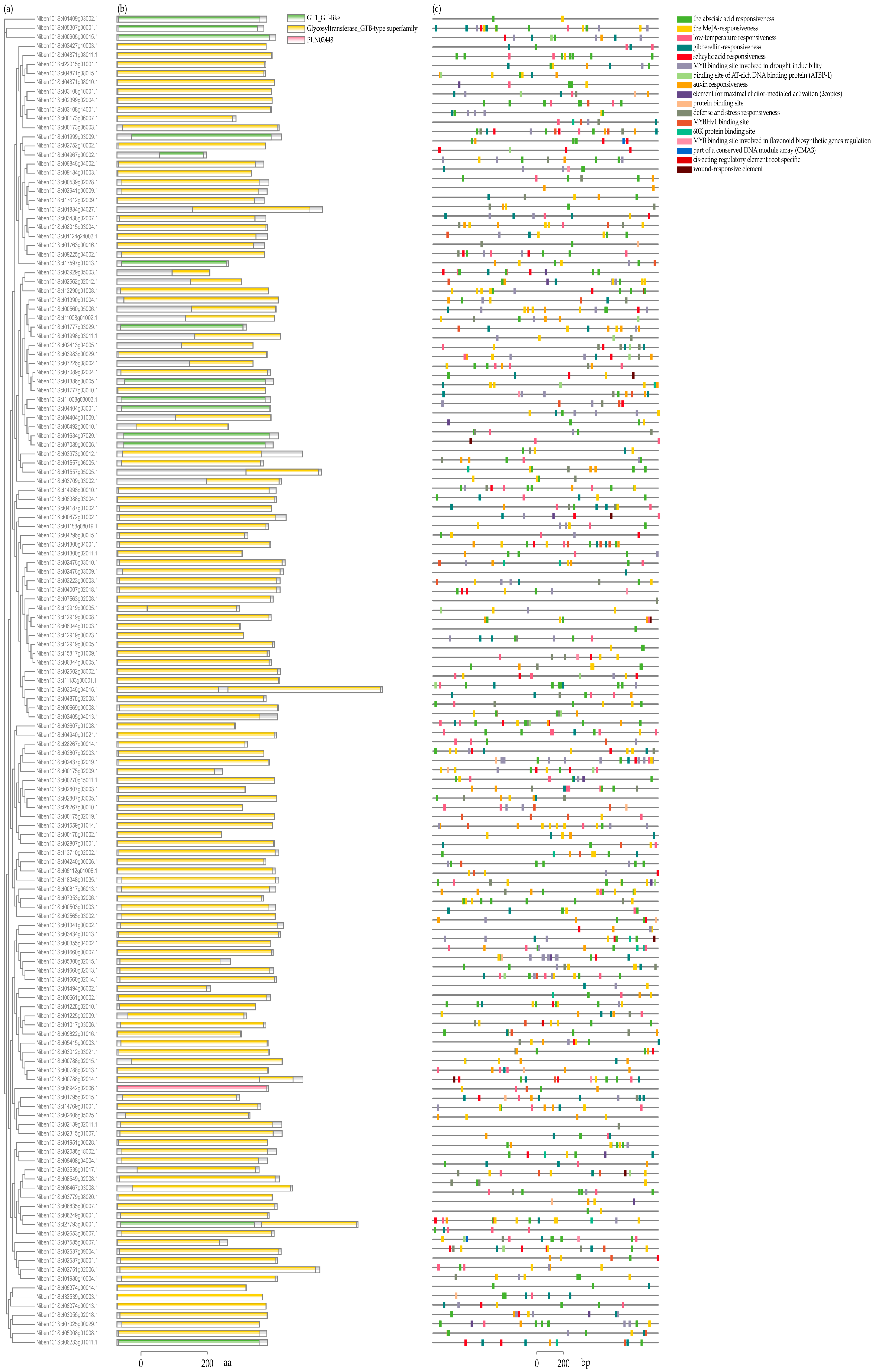 Viruses 16 00489 g003