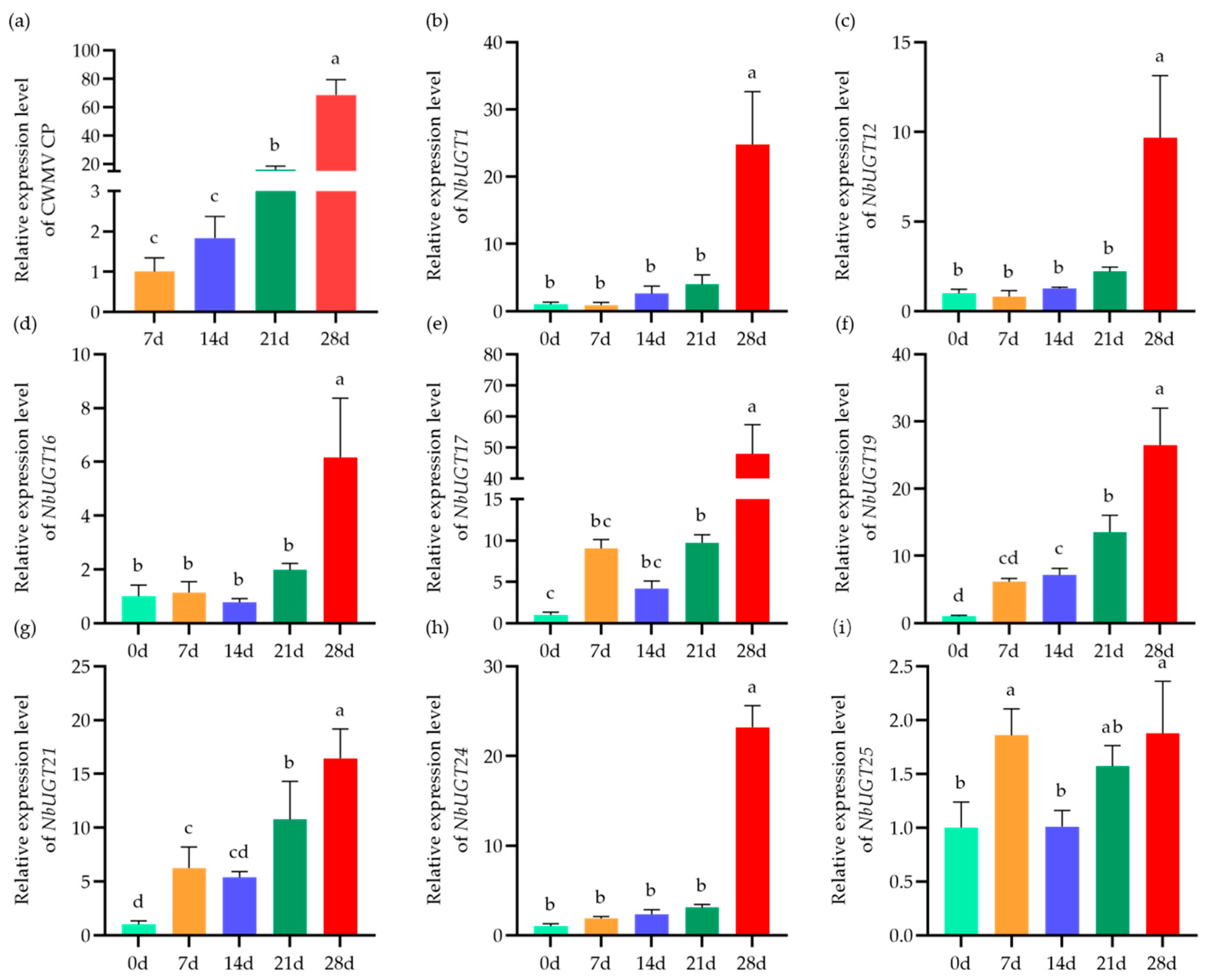 Viruses 16 00489 g004