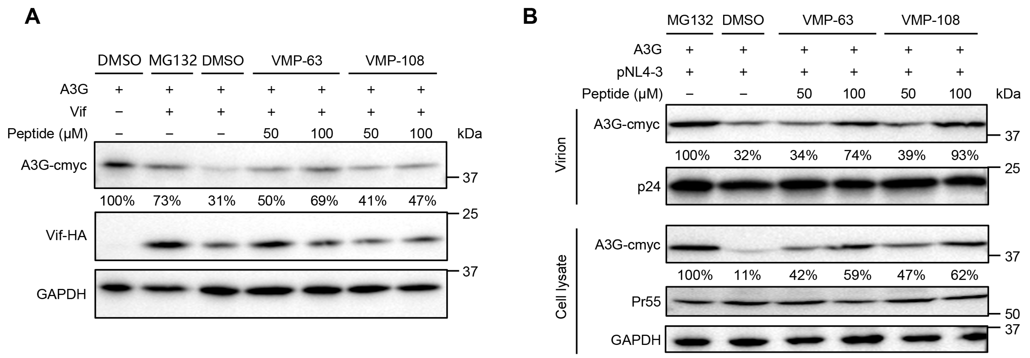 Viruses 16 00490 g003 Viruses 16 00490 g003