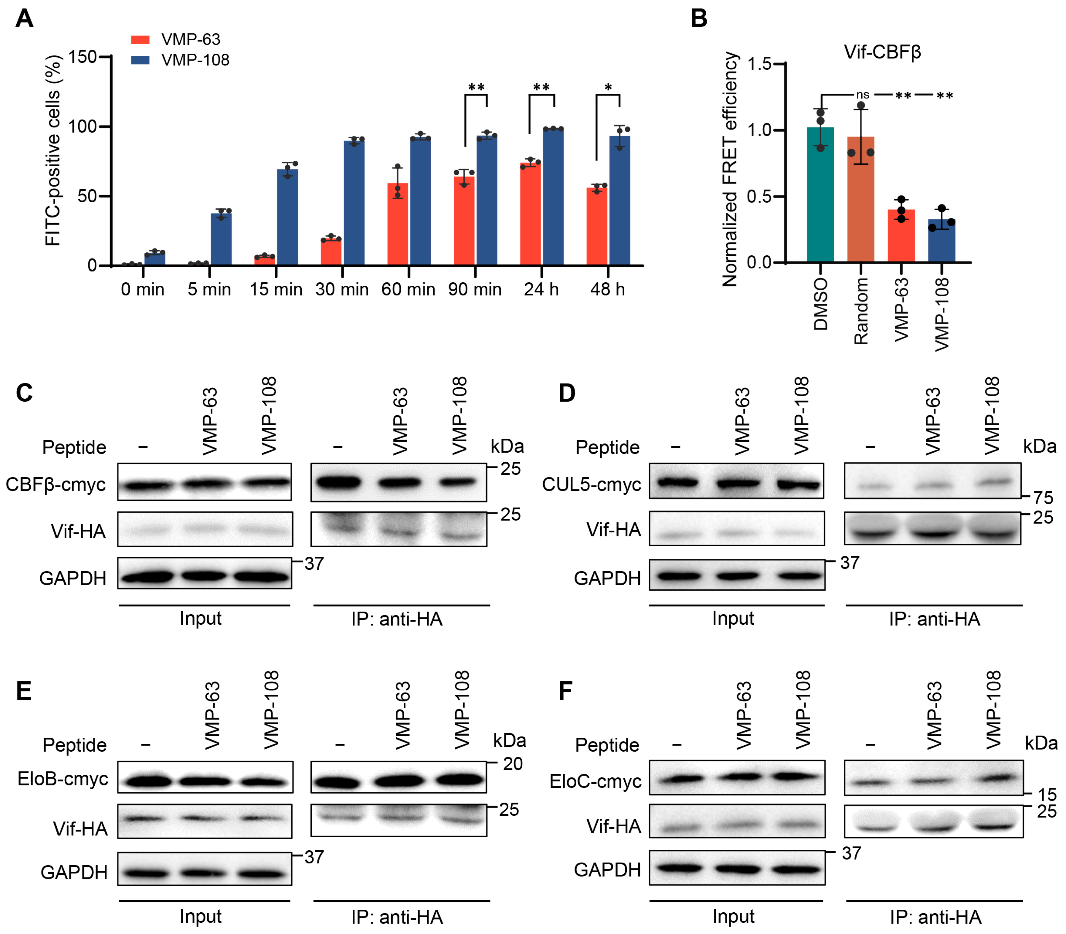 Viruses 16 00490 g004 Viruses 16 00490 g004