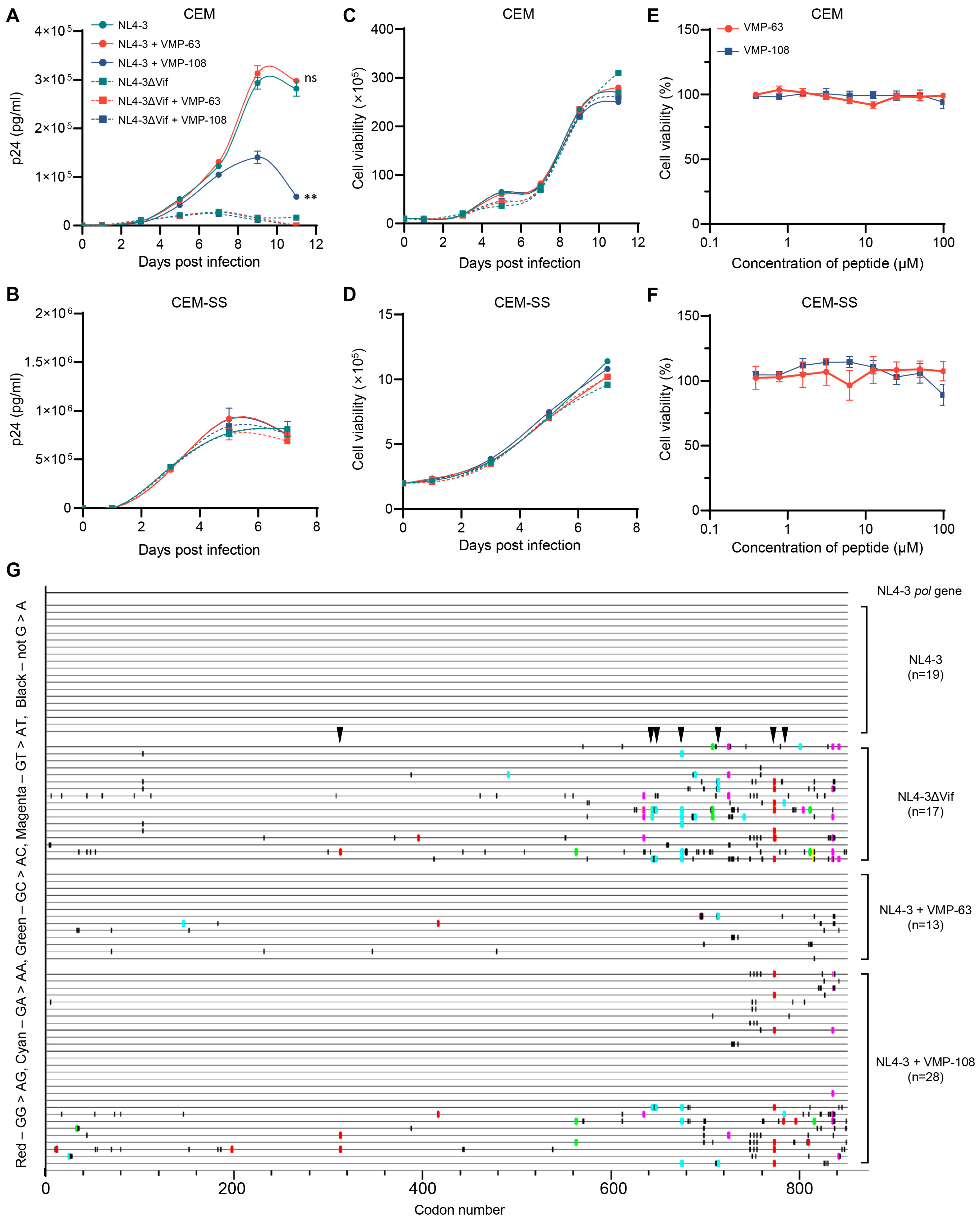 Viruses 16 00490 g006 Viruses 16 00490 g006