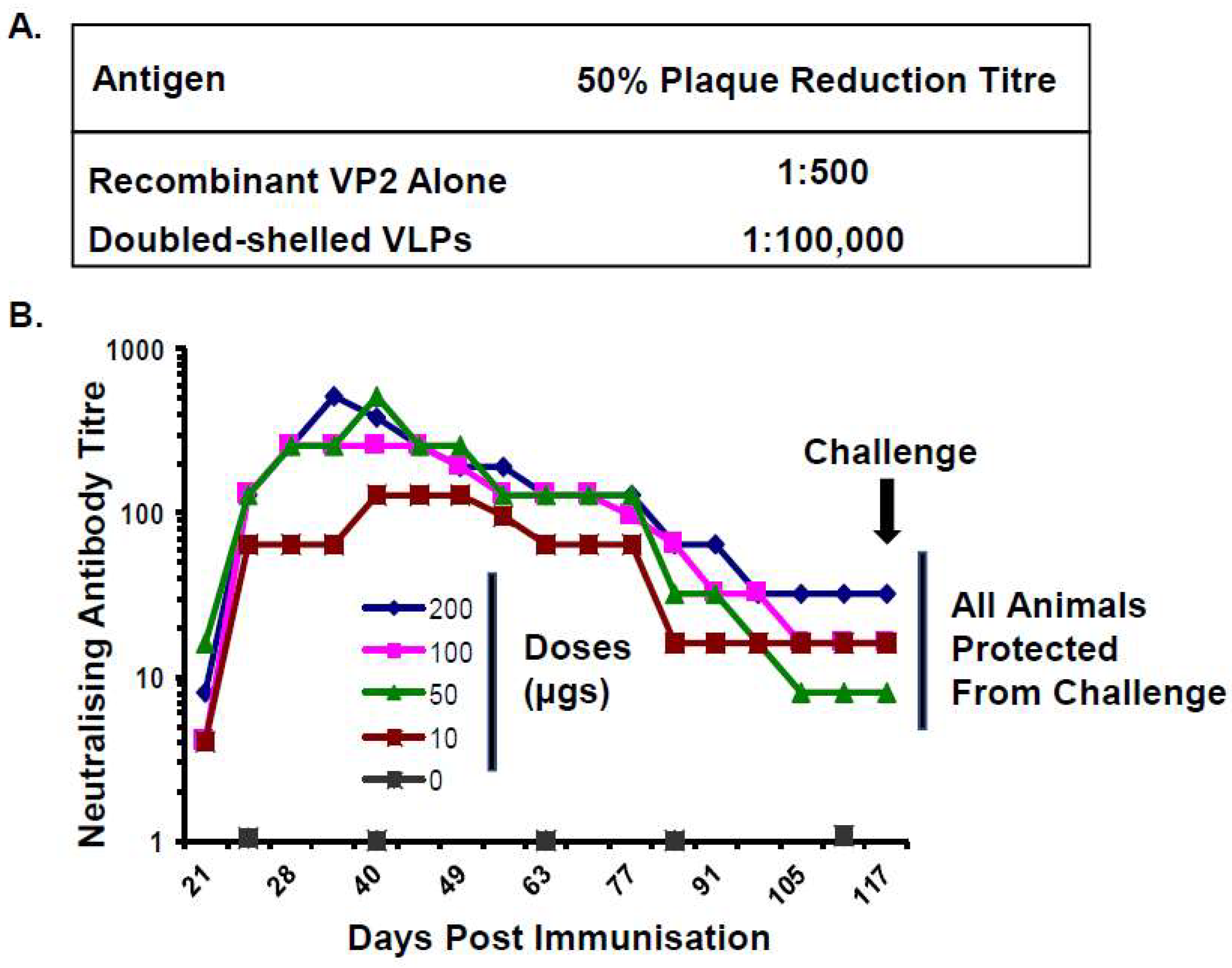 Viruses 16 00492 g006