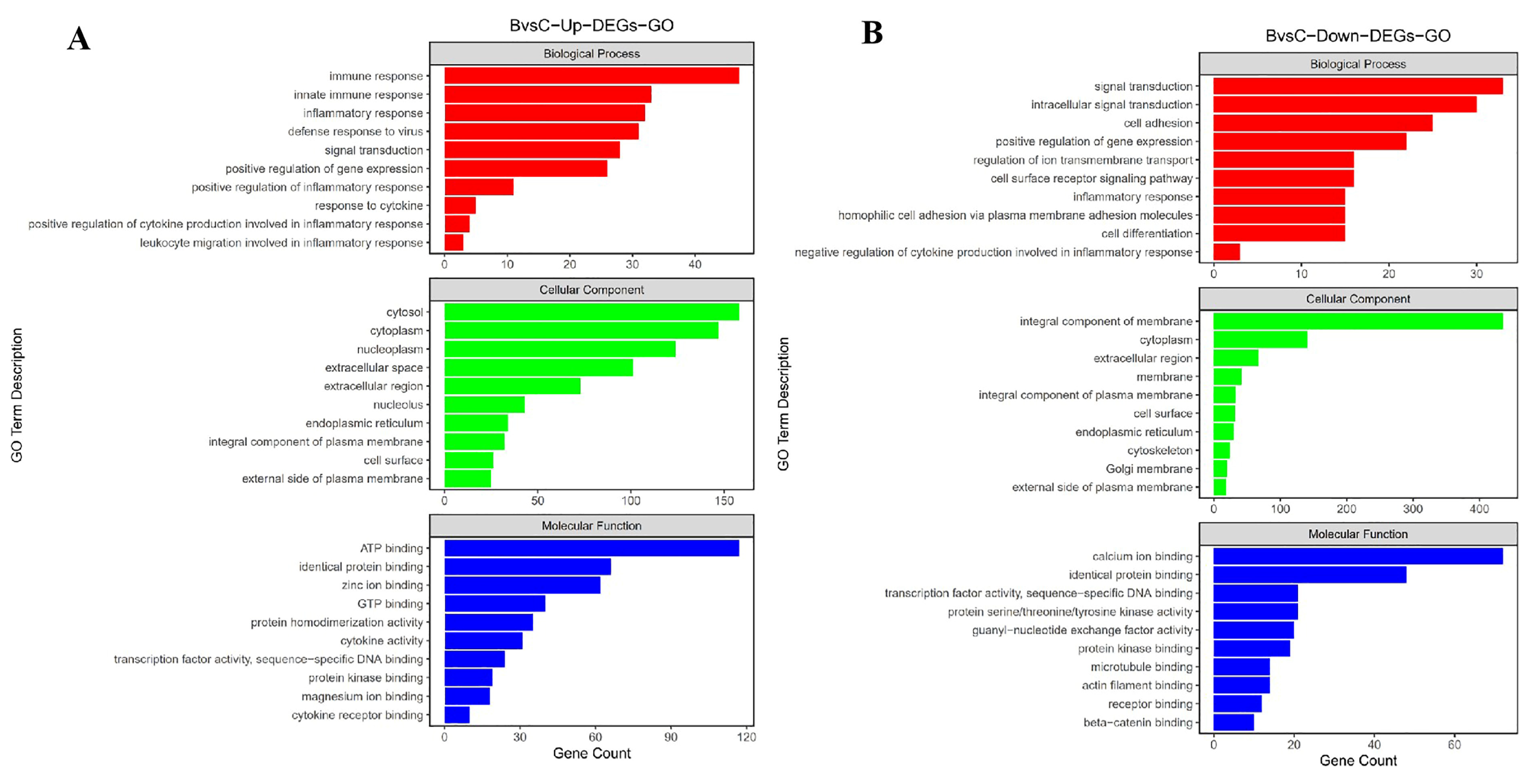 Viruses 16 00495 g003