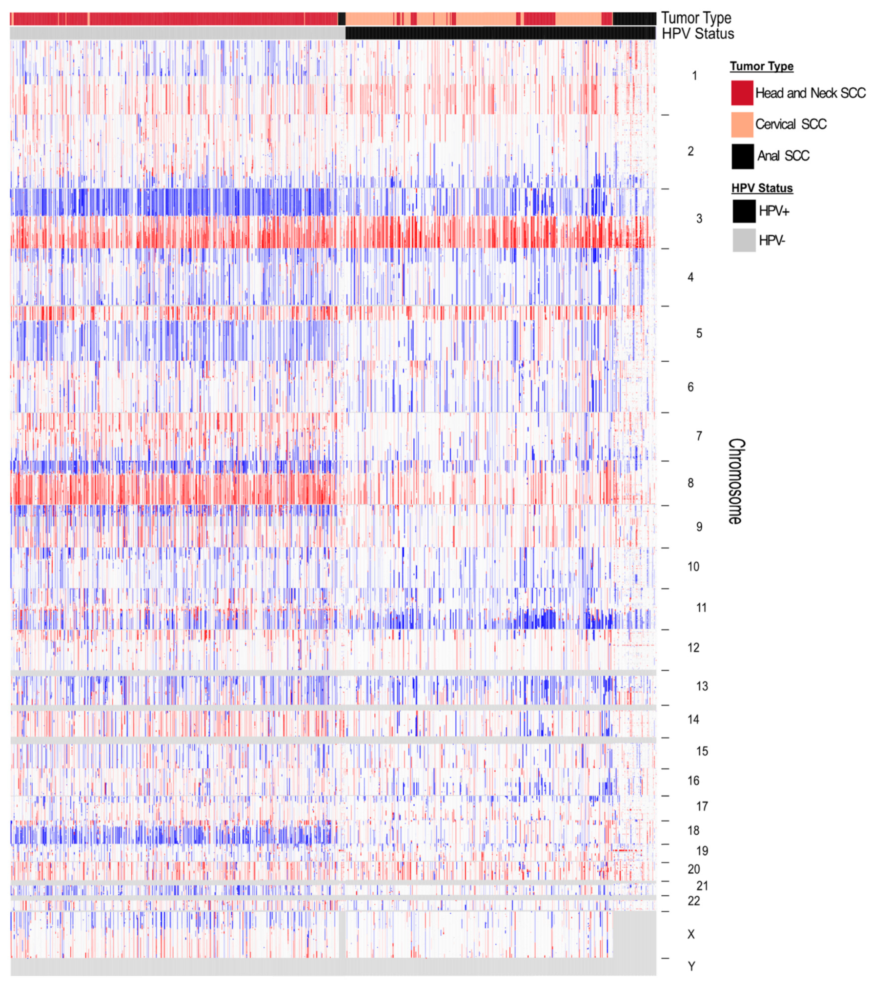 Viruses 16 00501 g003 Viruses 16 00501 g003