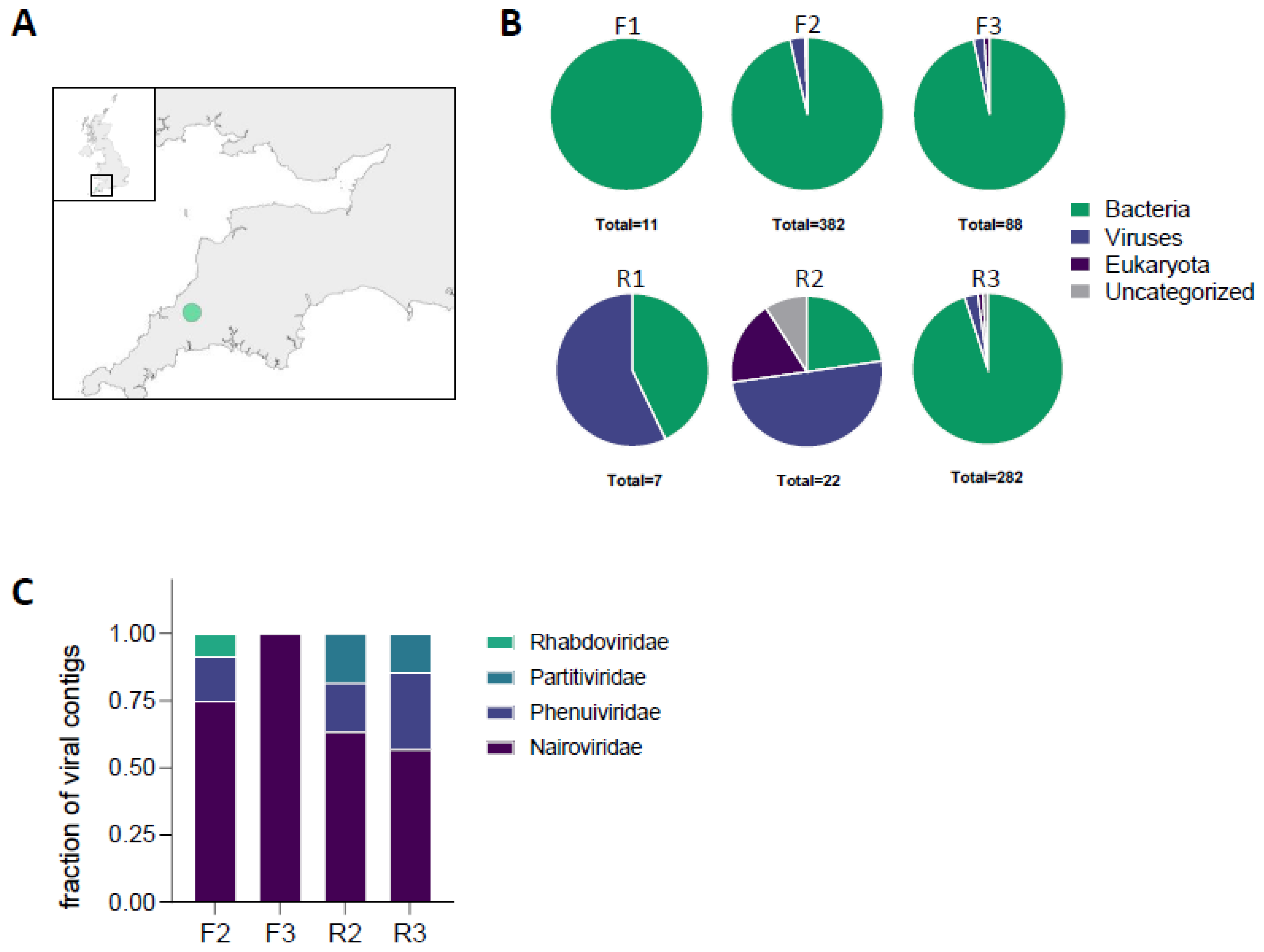 Viruses 16 00504 g001 Viruses 16 00504 g001