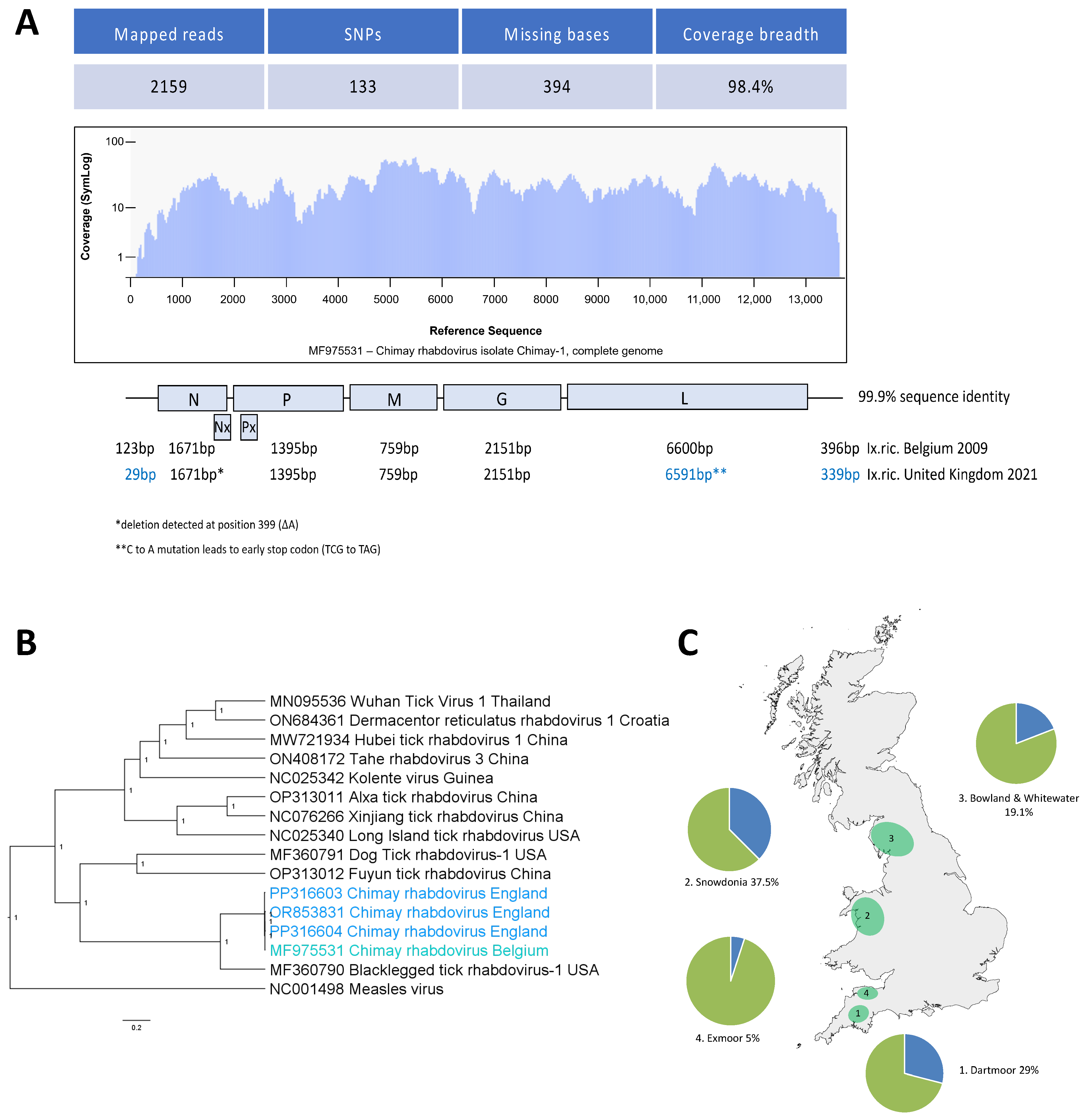 Viruses 16 00504 g002 Viruses 16 00504 g002