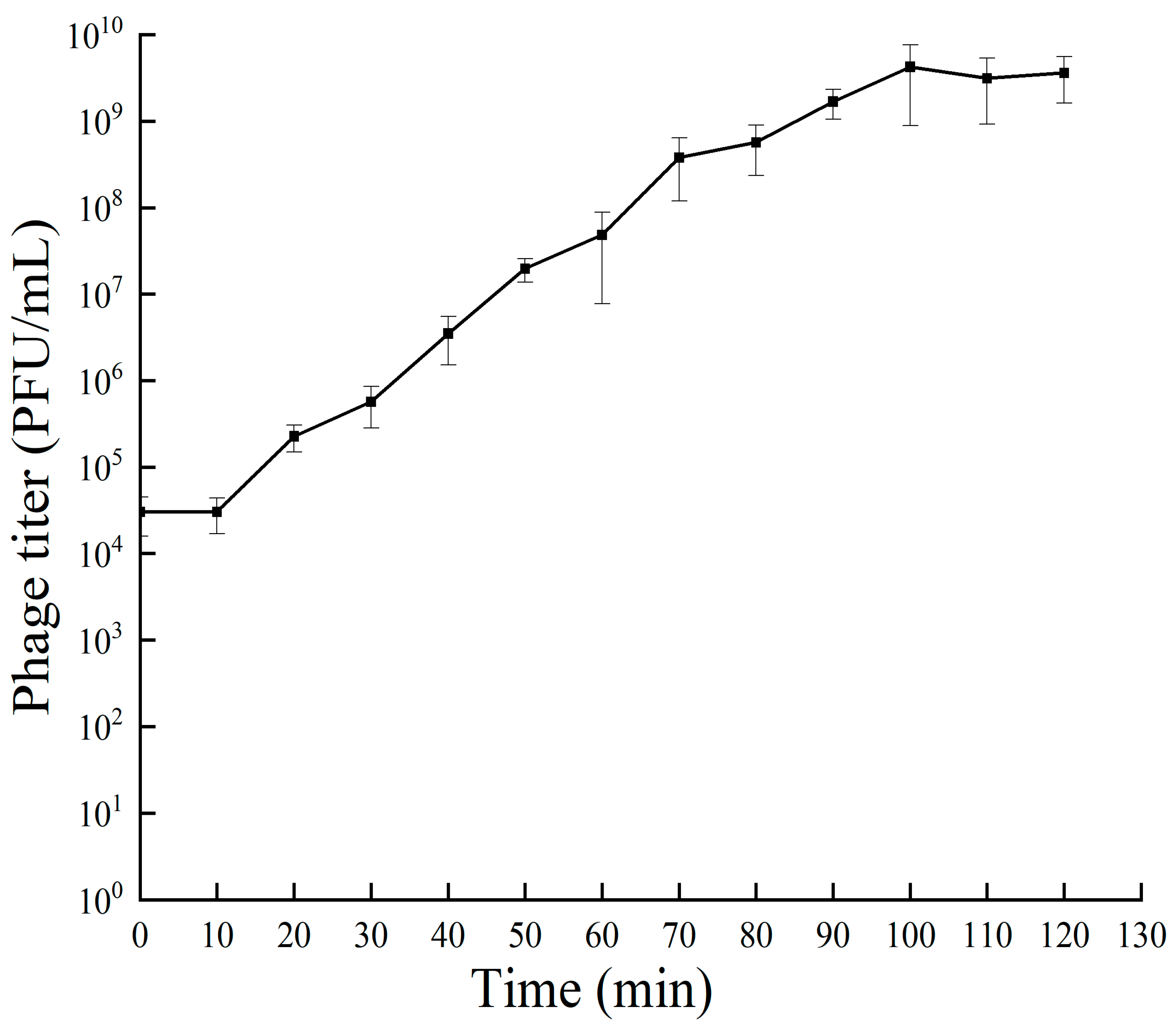 Viruses 16 00509 g002 Viruses 16 00509 g002