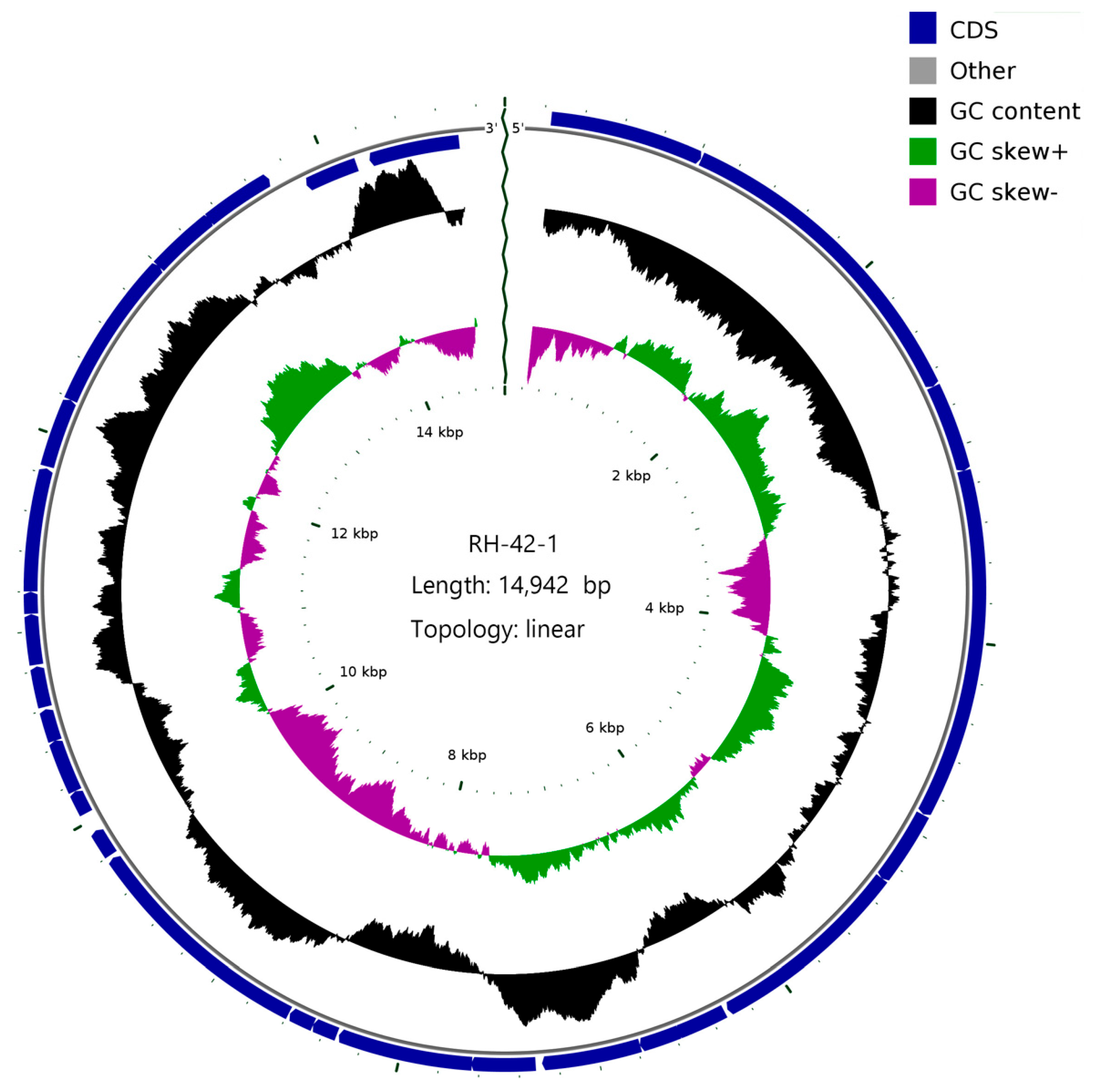 Viruses 16 00509 g007 Viruses 16 00509 g007