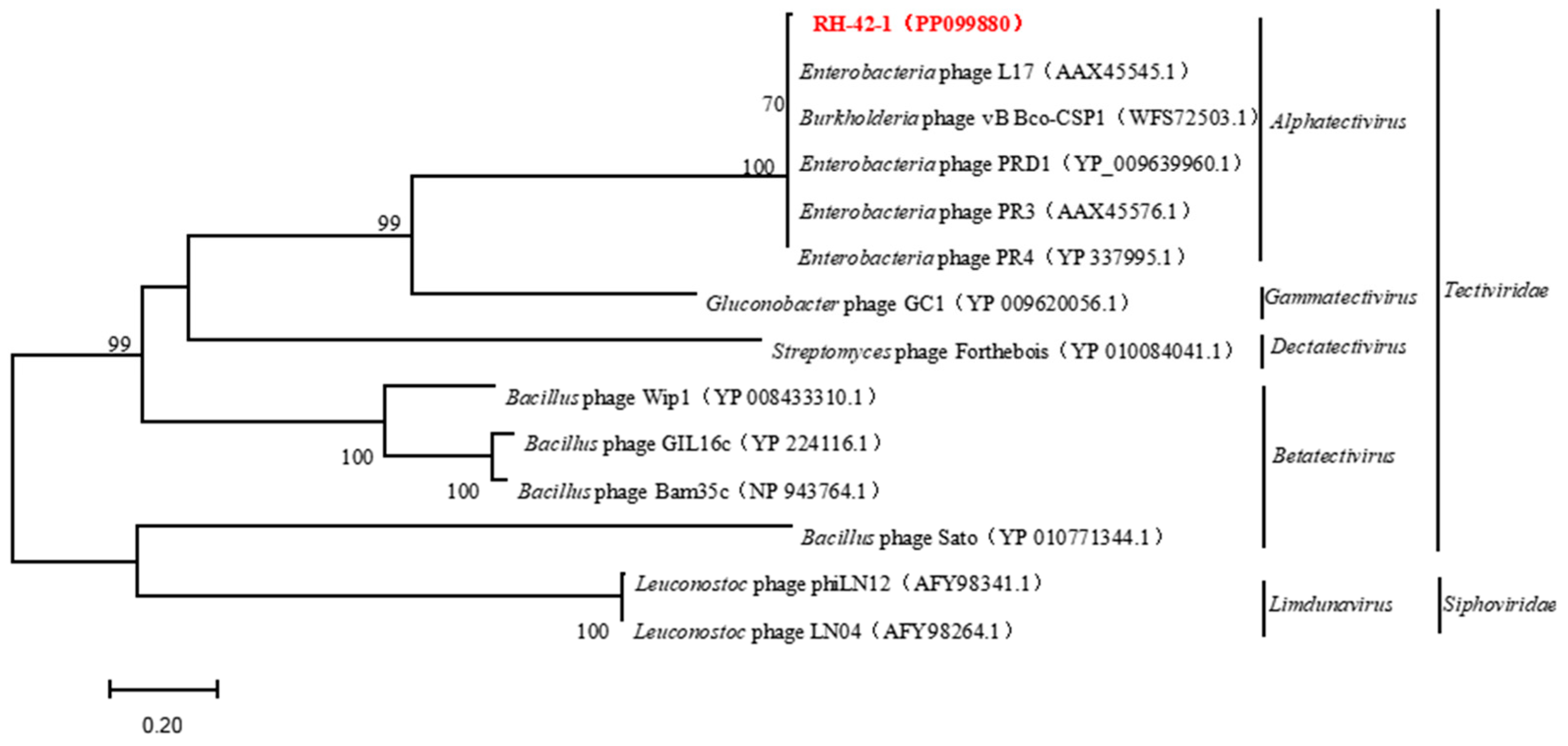 Viruses 16 00509 g009 Viruses 16 00509 g009