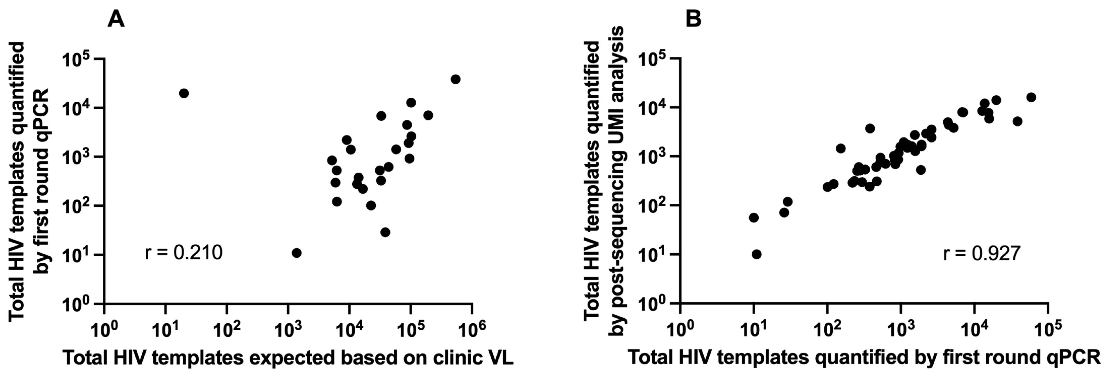 Viruses 16 00510 g002 Viruses 16 00510 g002