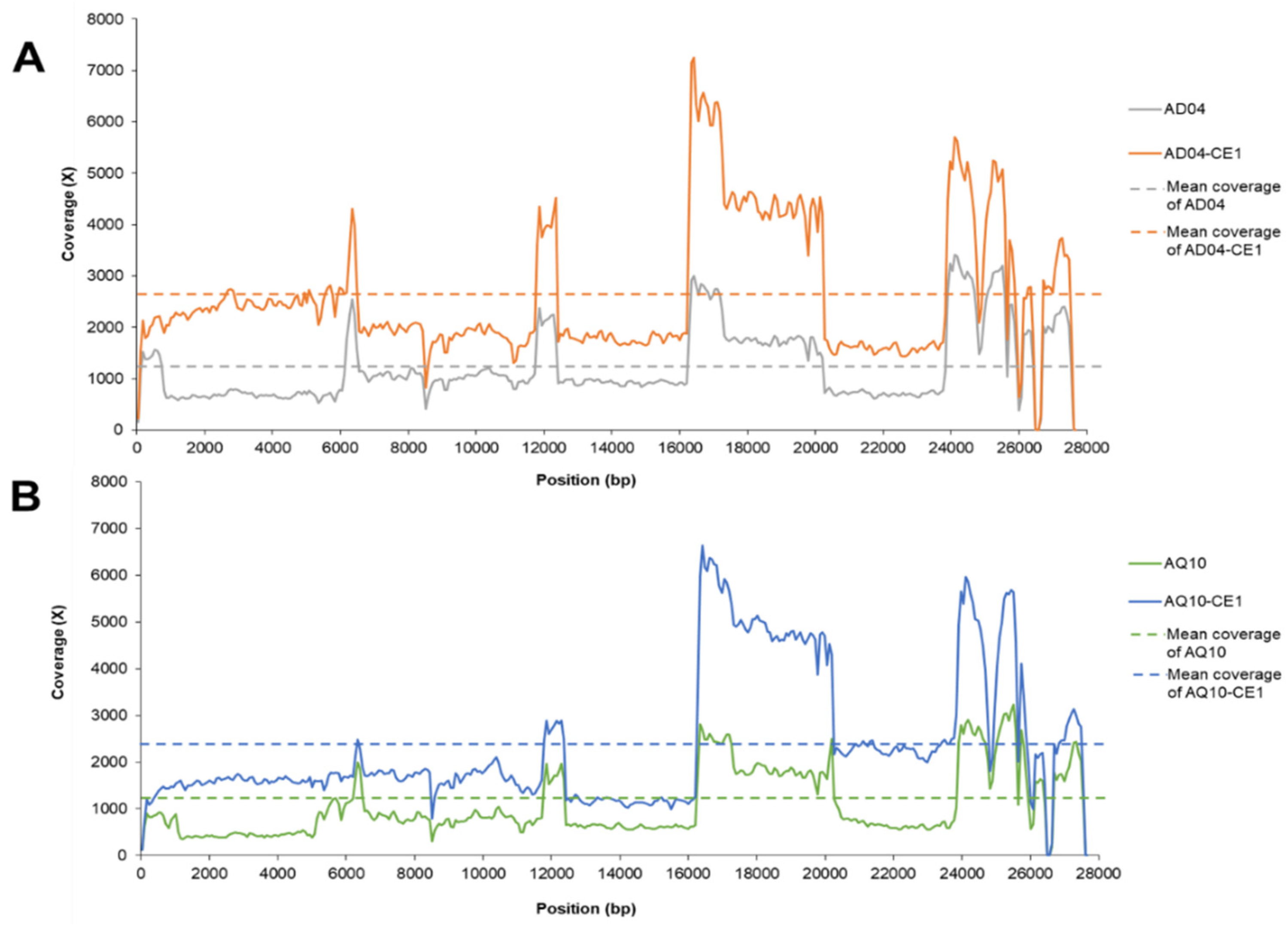 Viruses 16 00515 g002