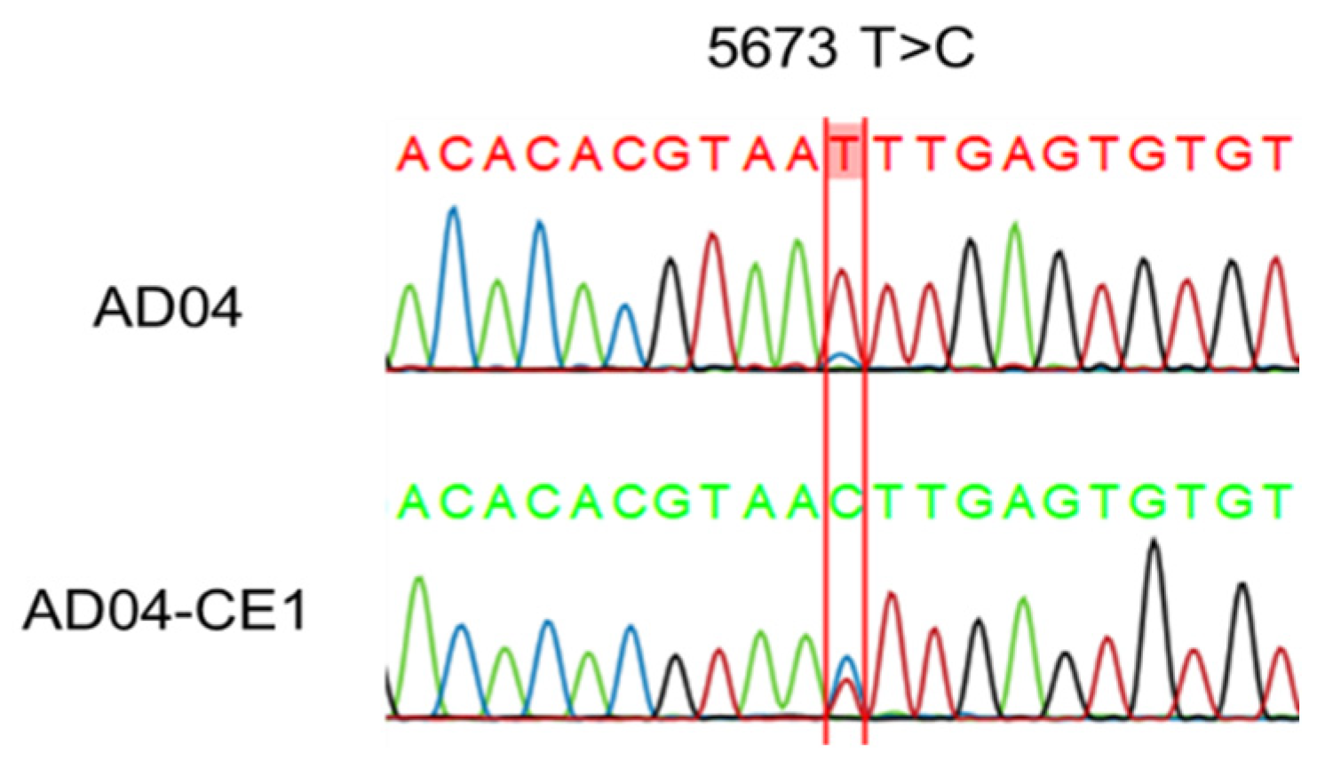 Viruses 16 00515 g004