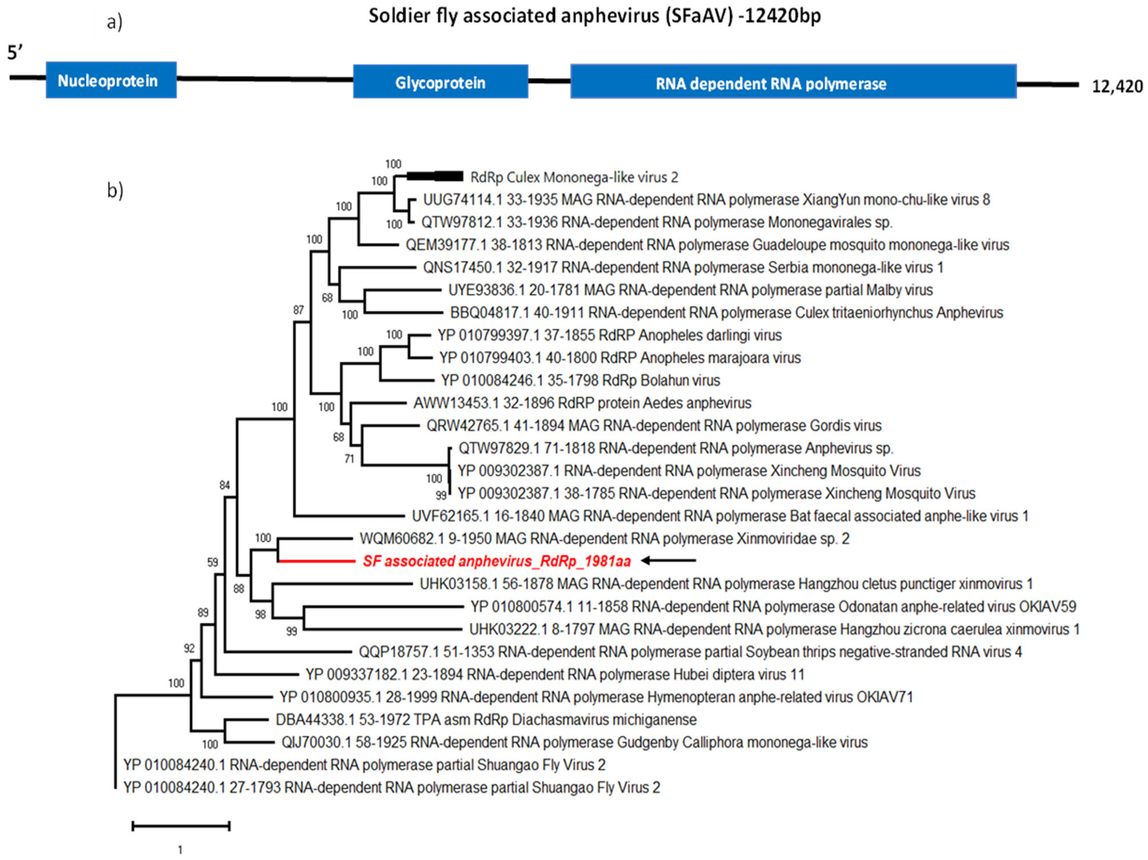 Viruses 16 00516 g001