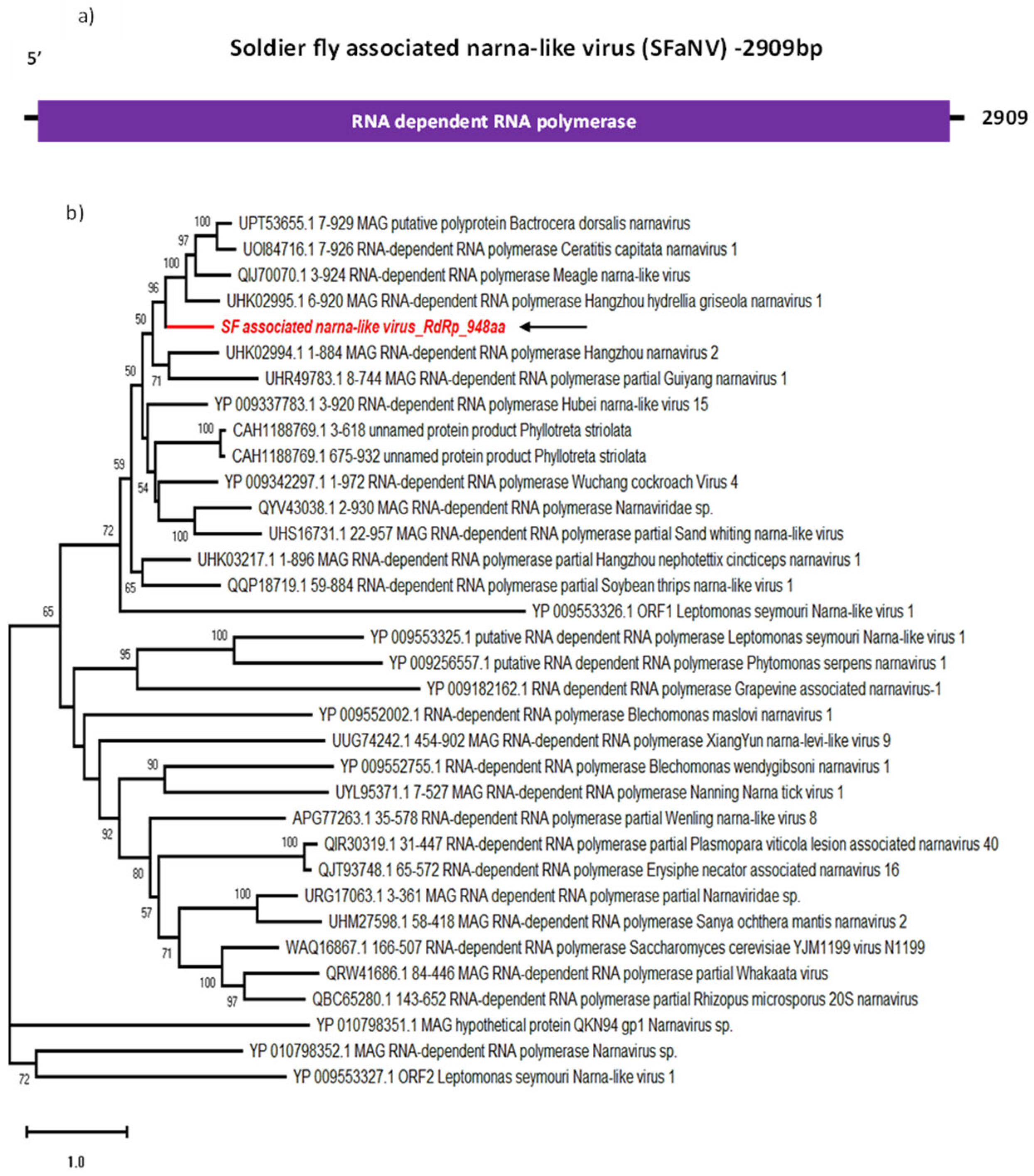 Viruses 16 00516 g003