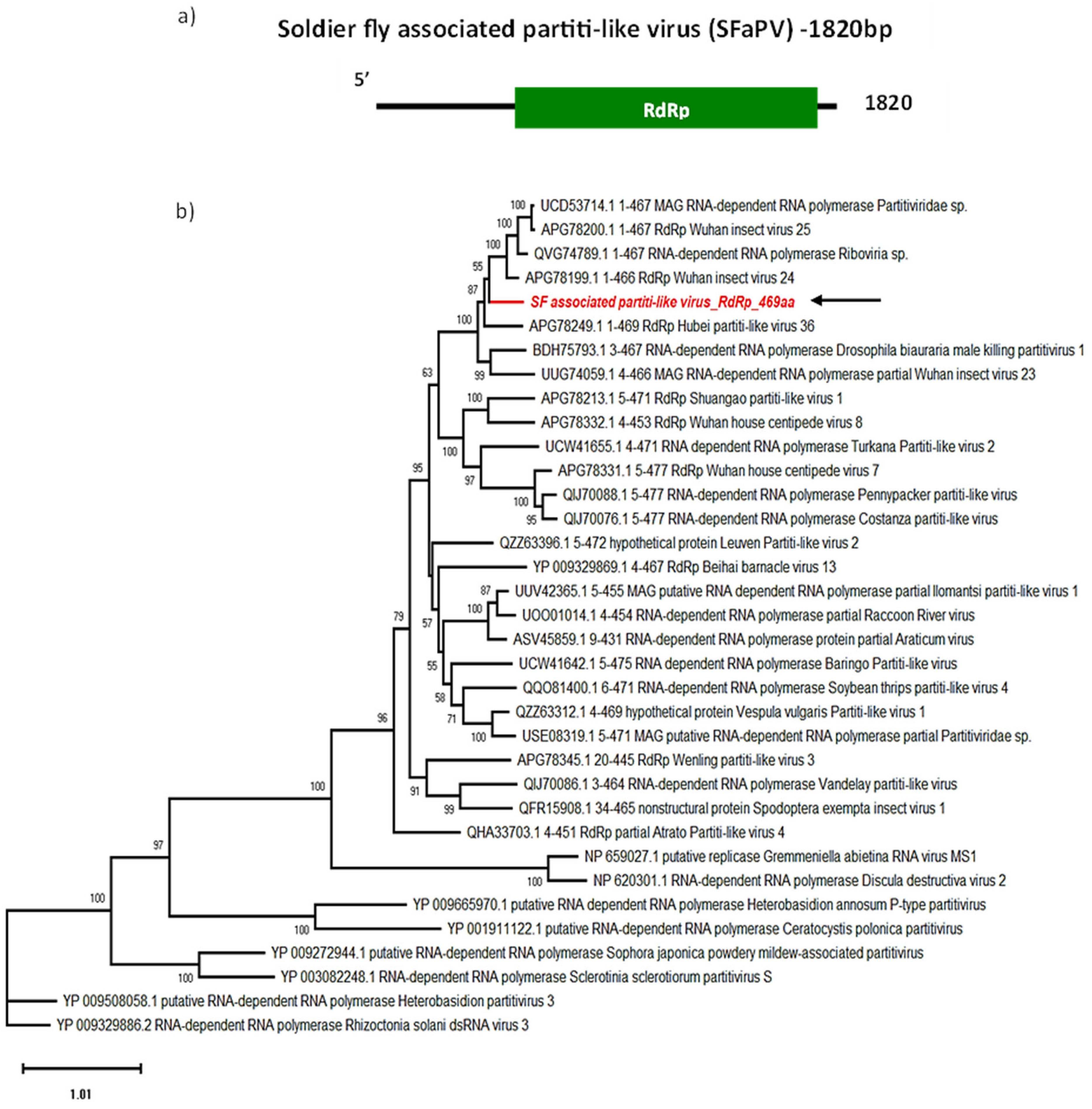 Viruses 16 00516 g004