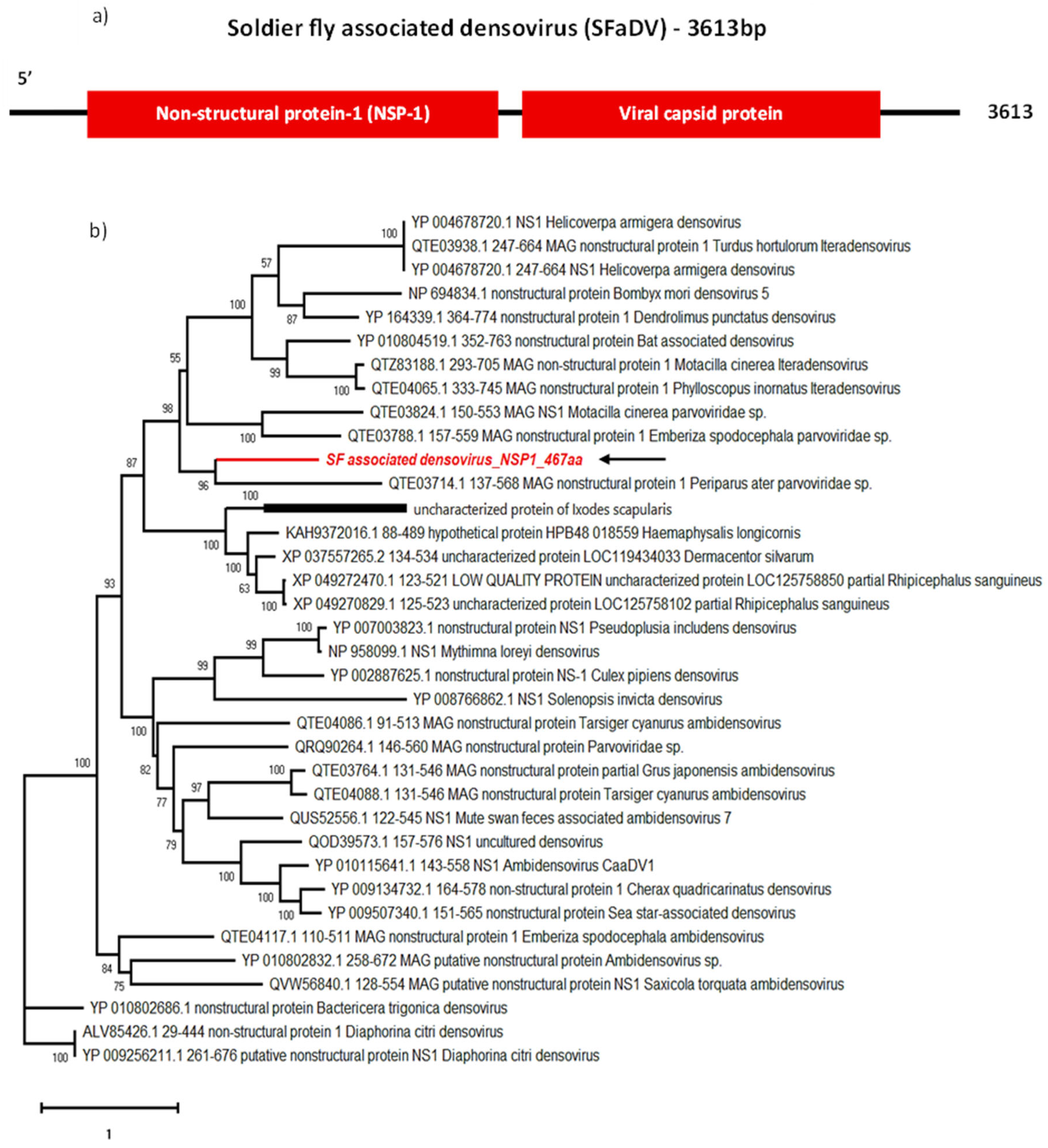 Viruses 16 00516 g006