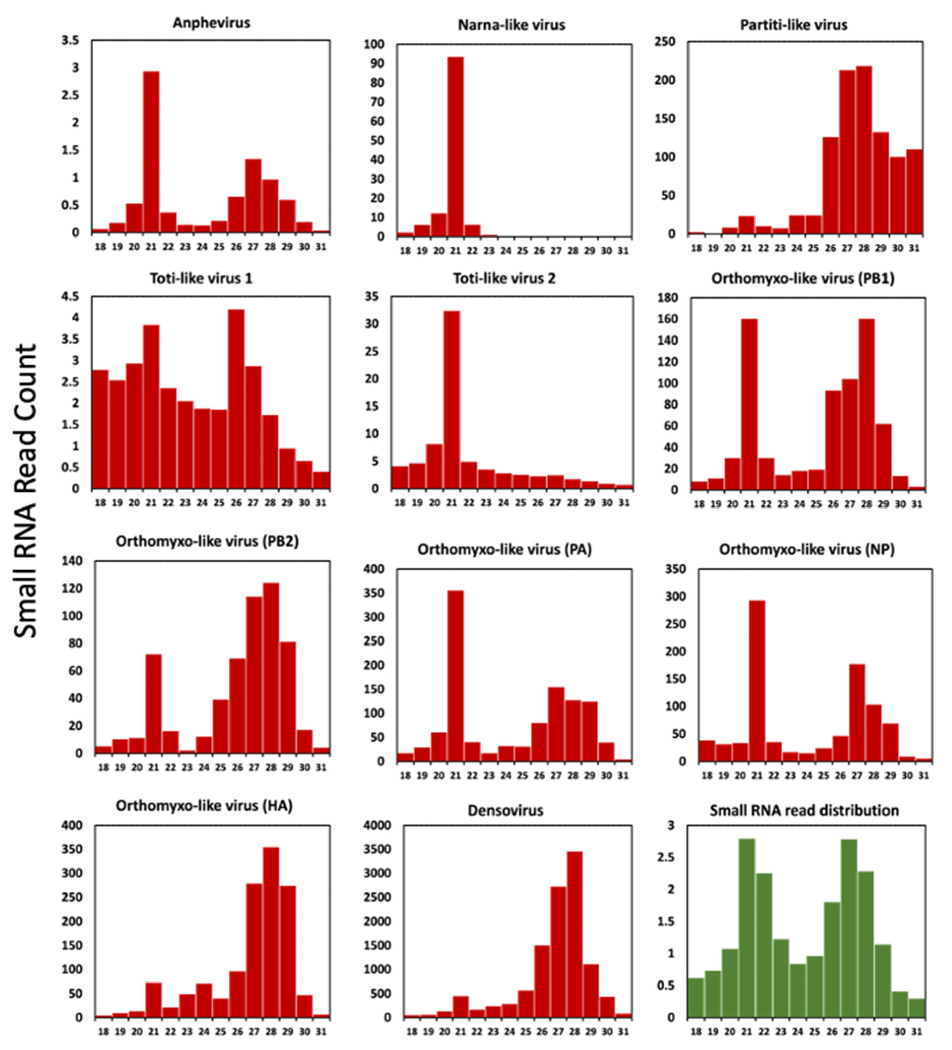 Viruses 16 00516 g007