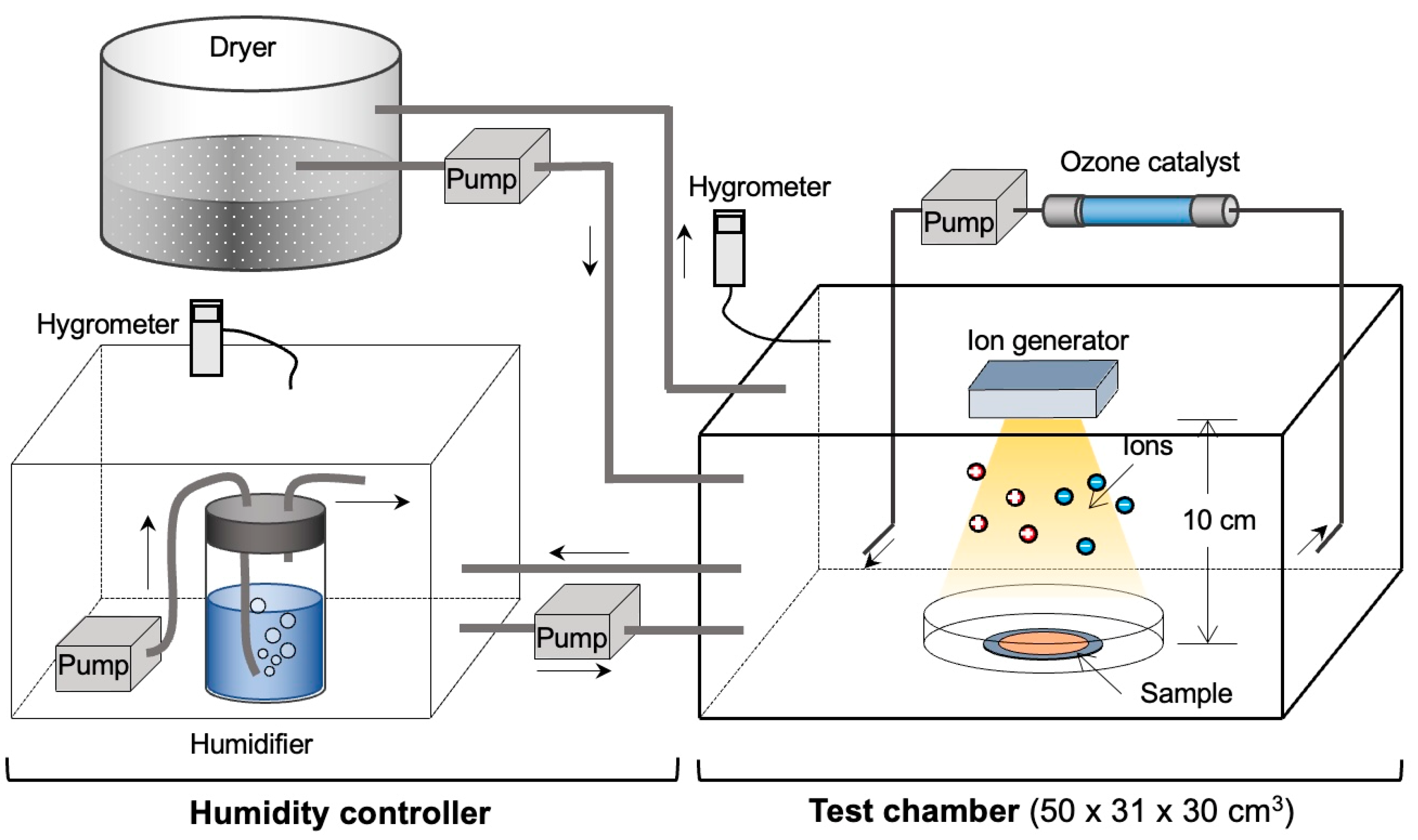 Viruses 16 00520 g001