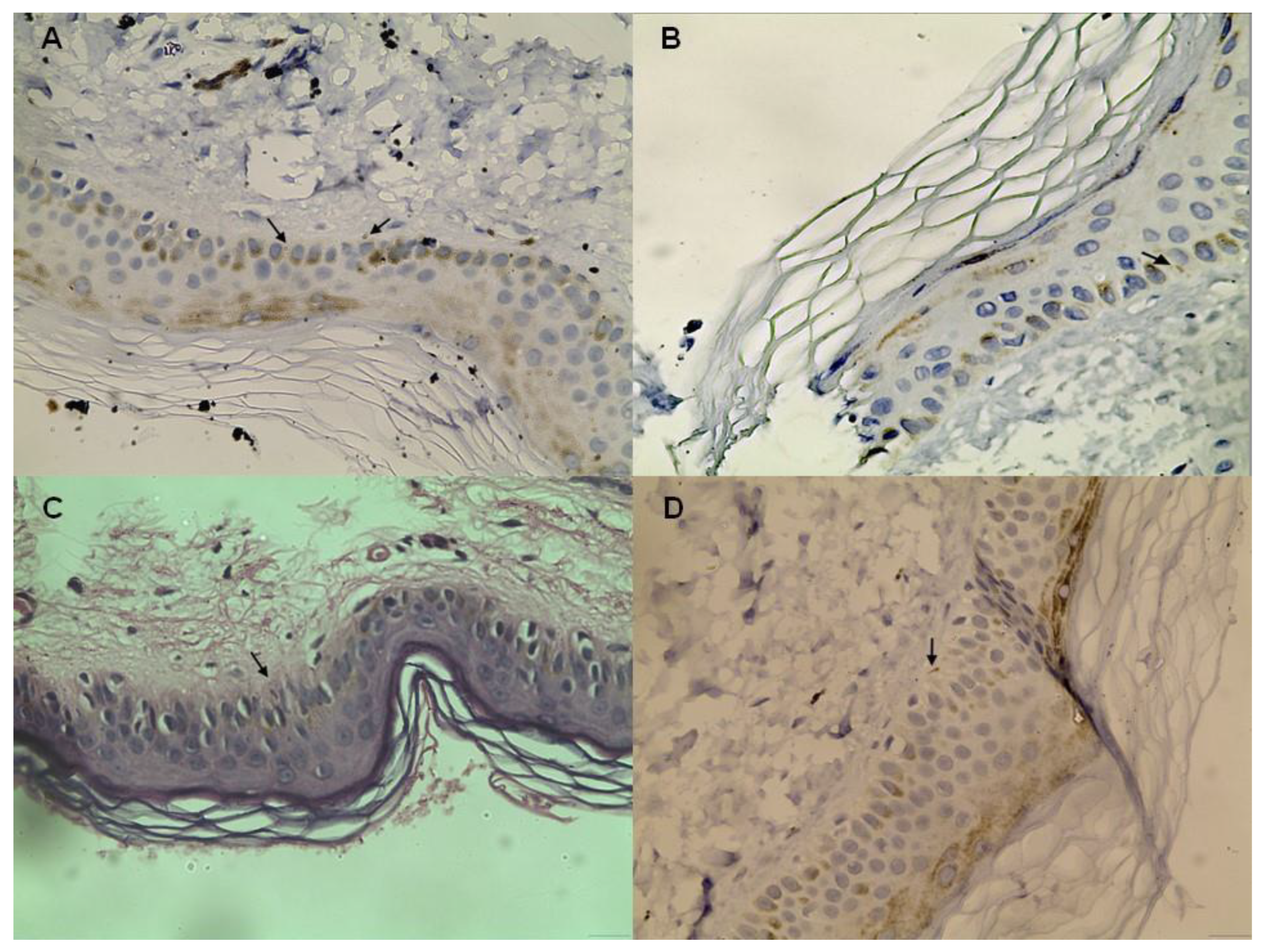 Viruses 16 00522 g001 Viruses 16 00522 g001
