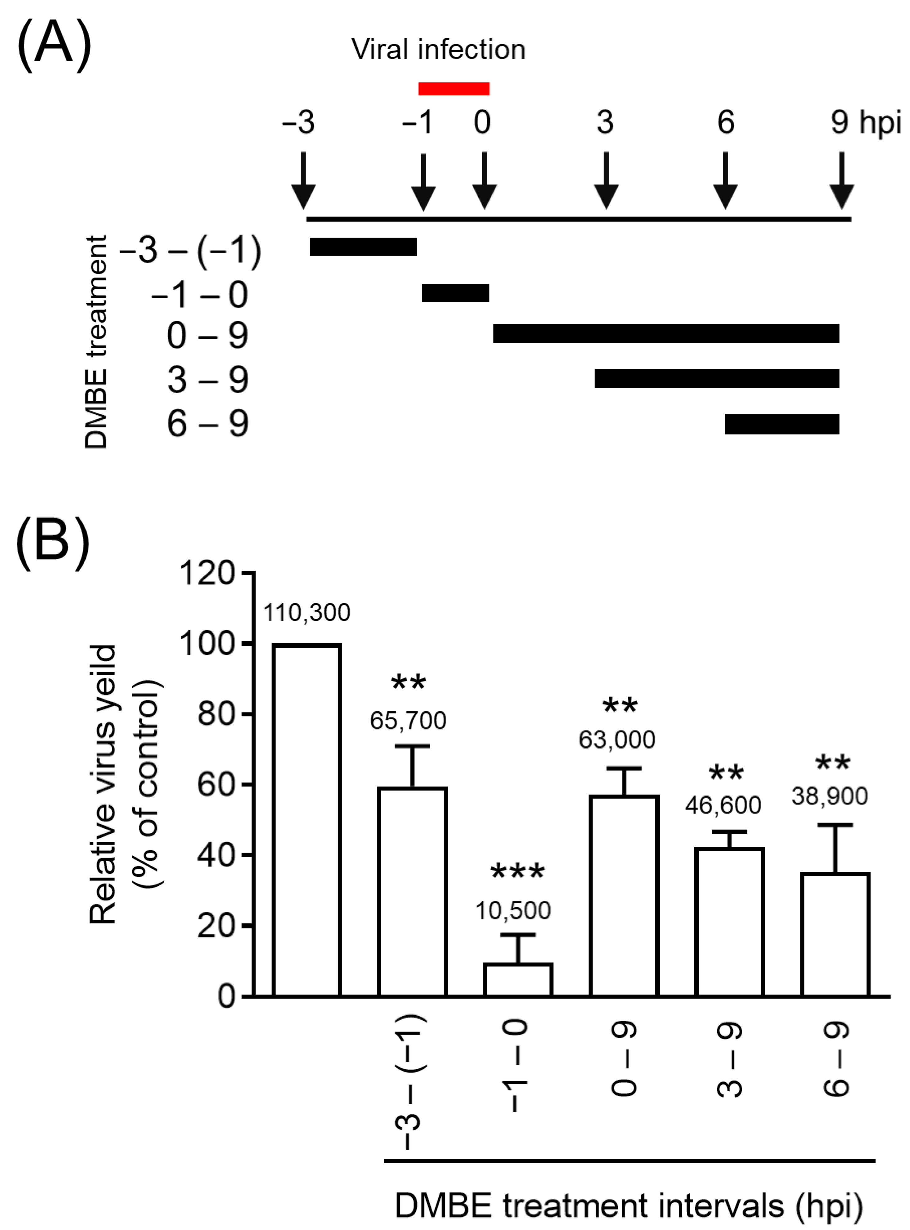 Viruses 16 00523 g002