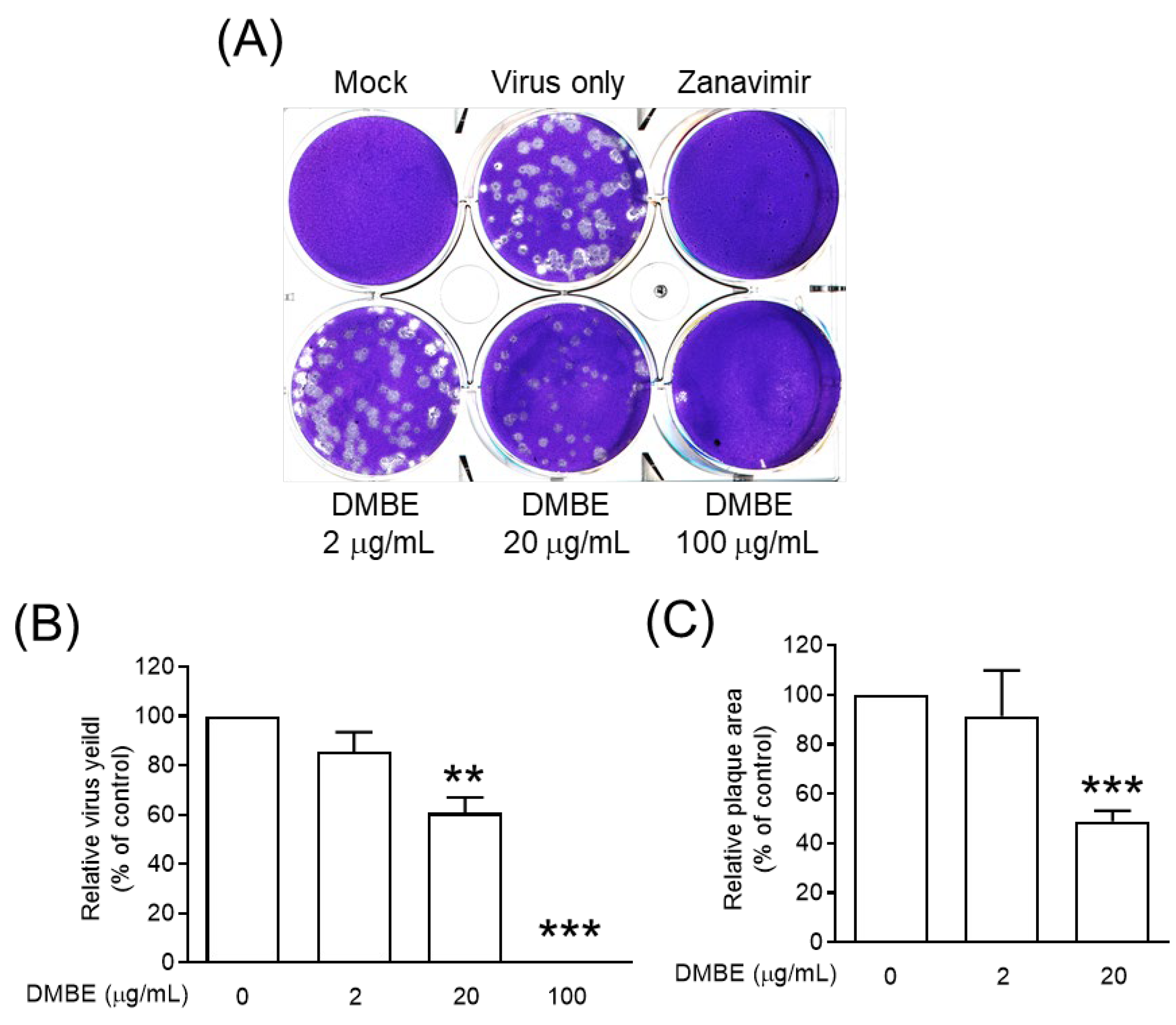 Viruses 16 00523 g005