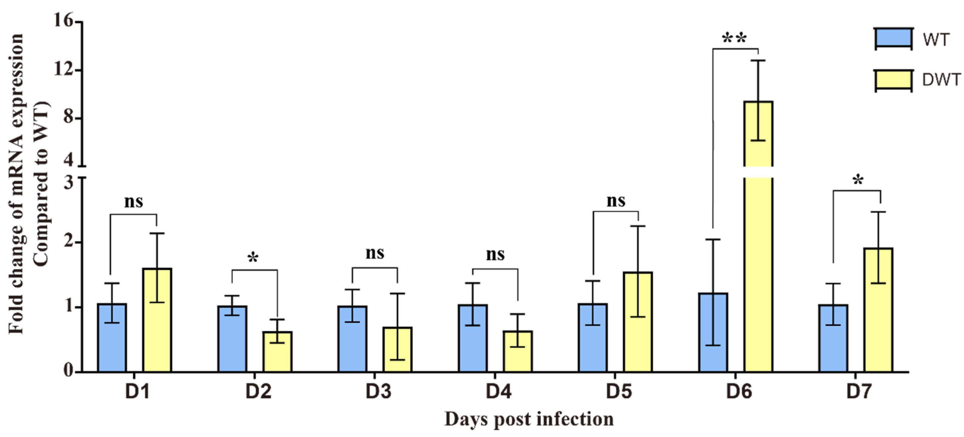 Viruses 16 00525 g001