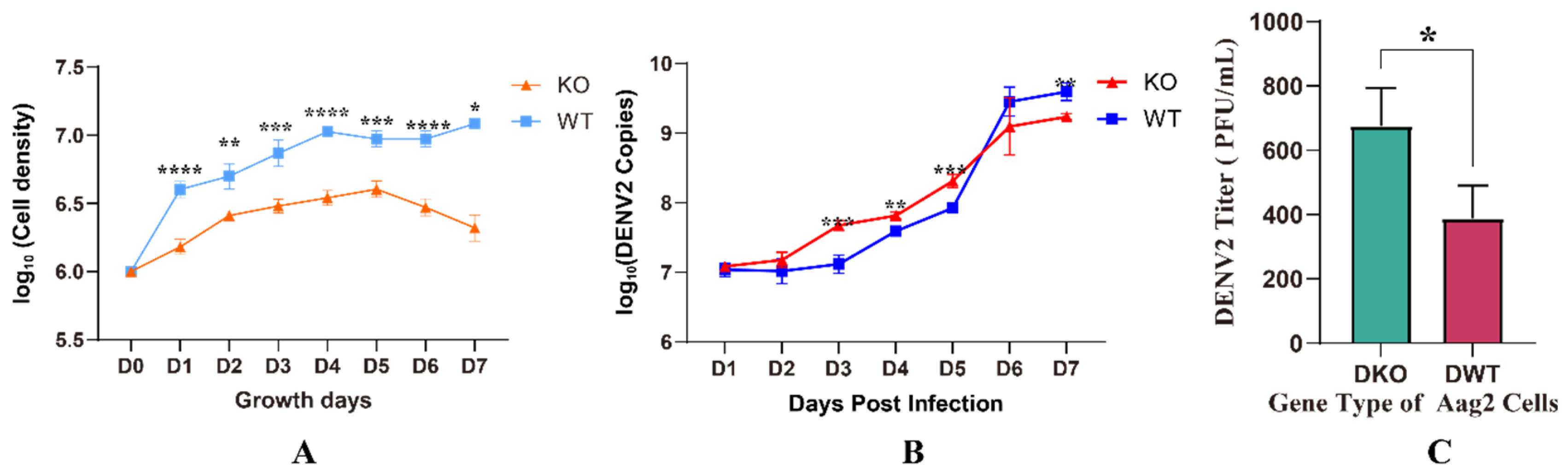 Viruses 16 00525 g004