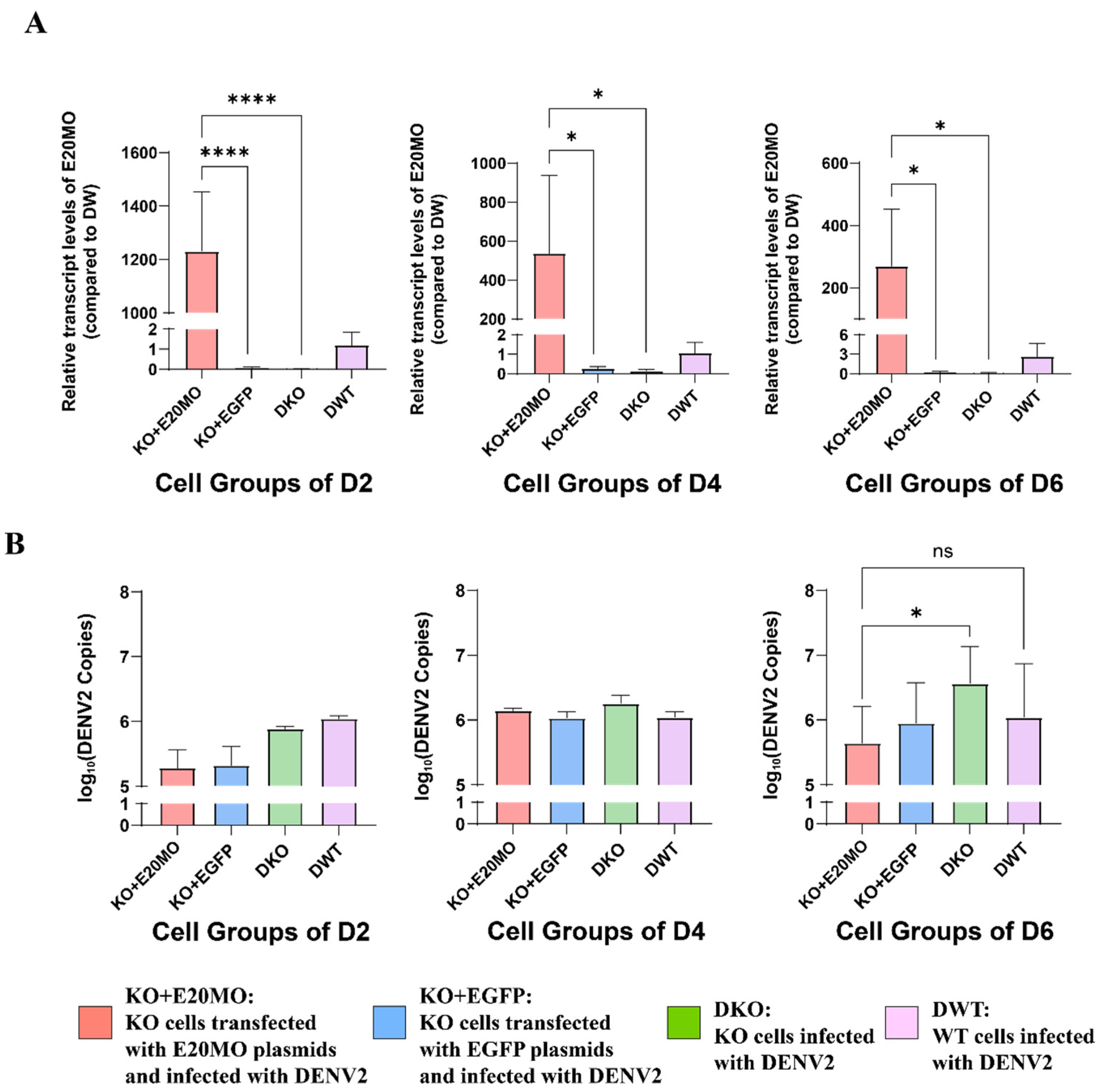 Viruses 16 00525 g006