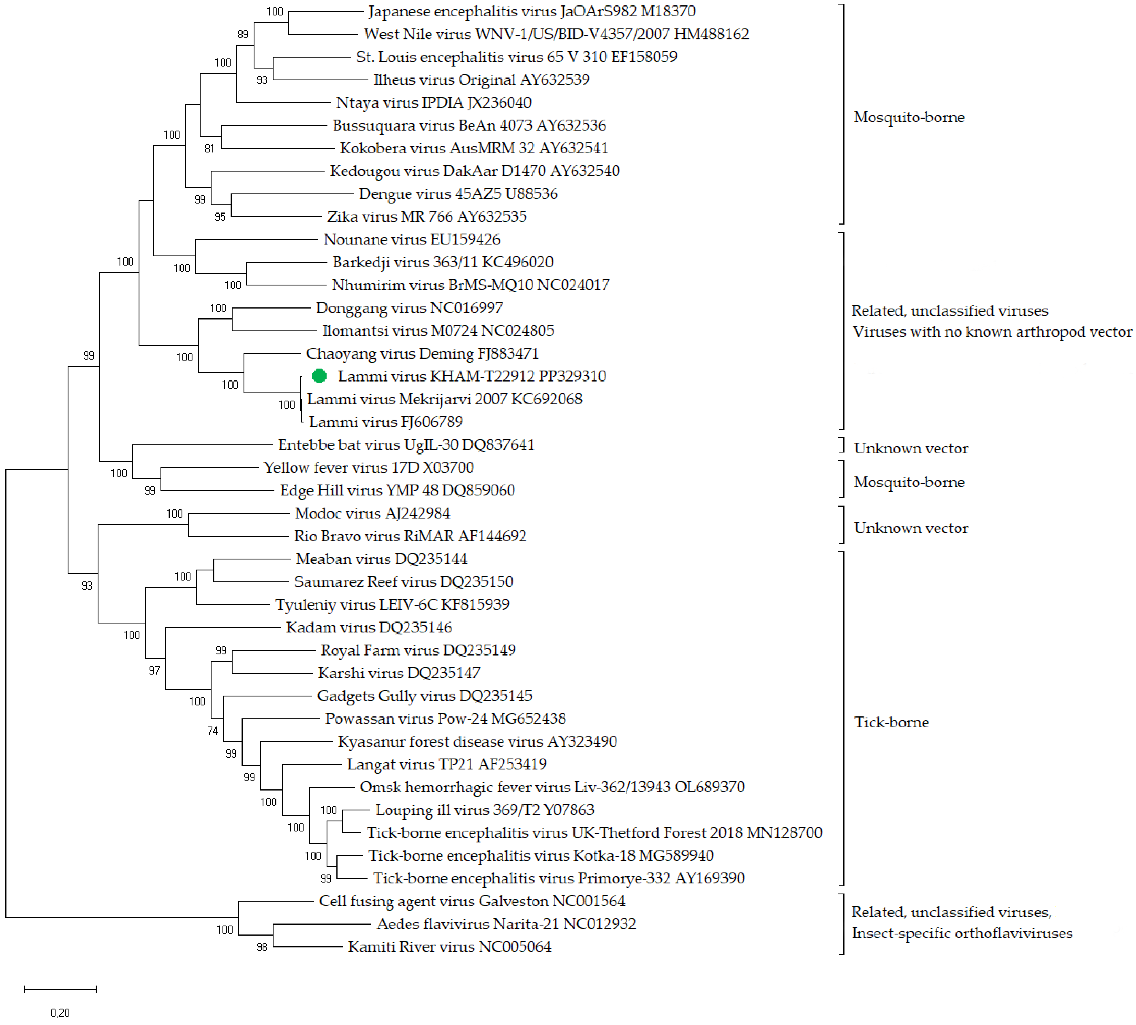 Viruses 16 00527 g001