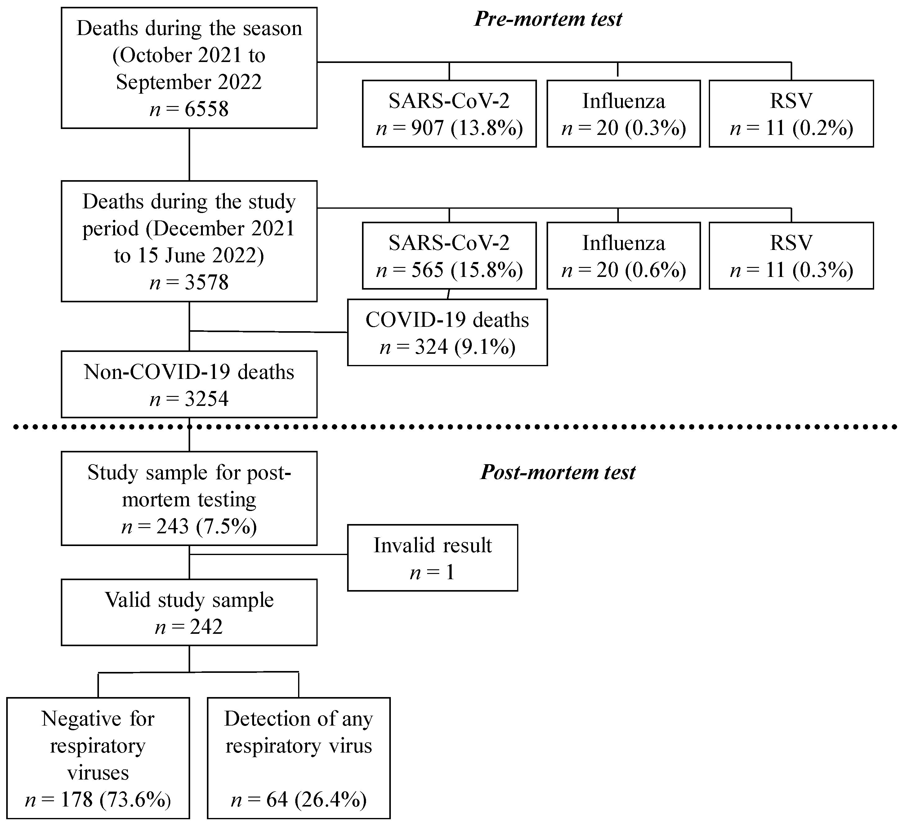 Viruses 16 00533 g001