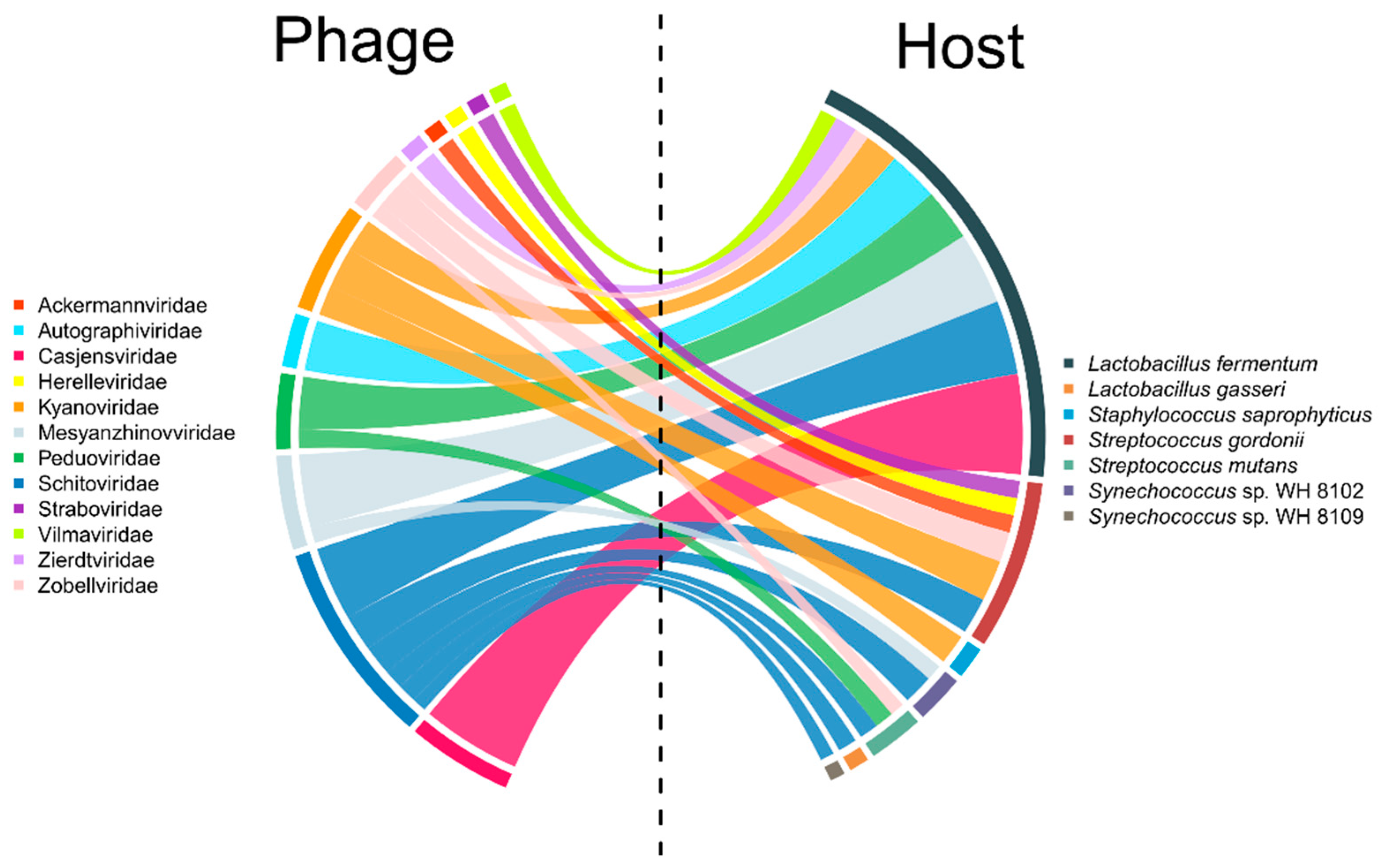 Viruses 16 00535 g003
