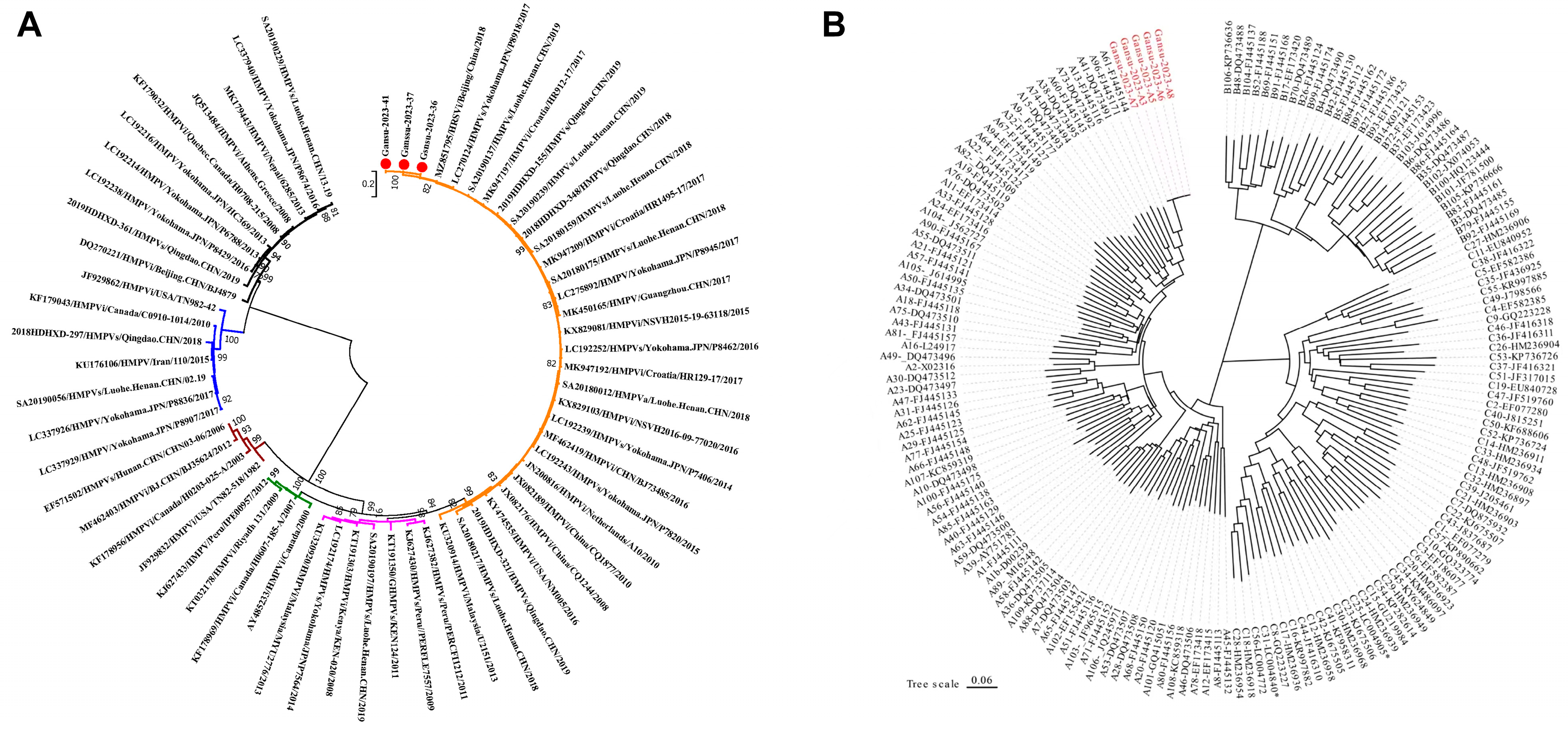 Viruses 16 00540 g003