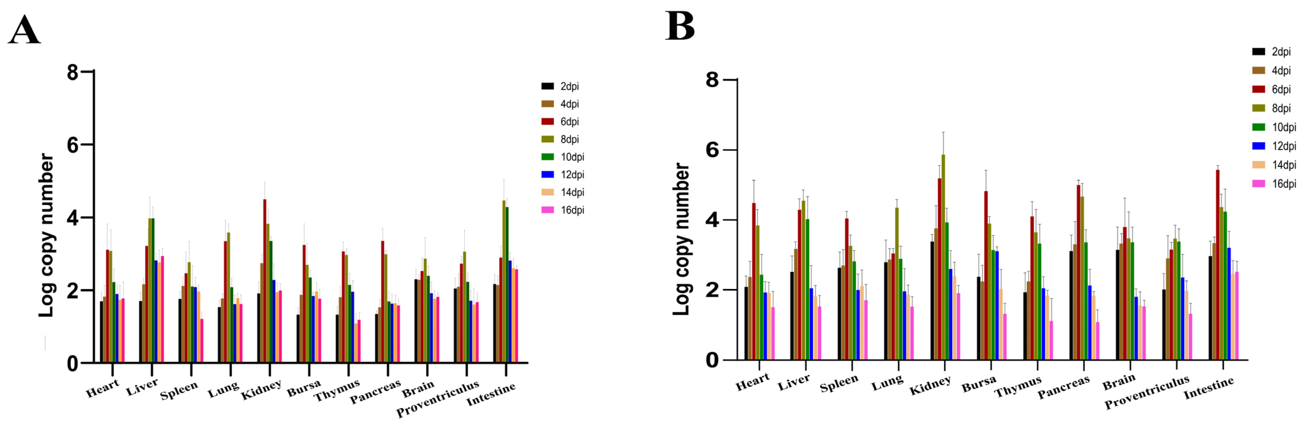 Viruses 16 00541 g008 Viruses 16 00541 g008