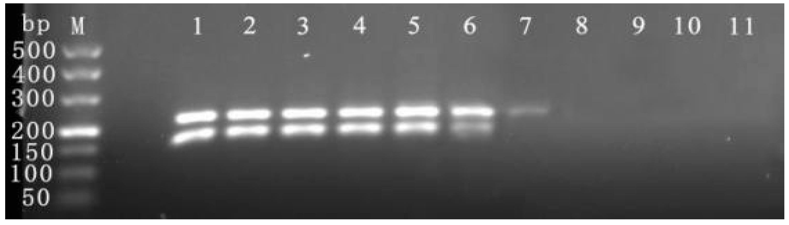 Viruses 16 00543 g004 Viruses 16 00543 g004