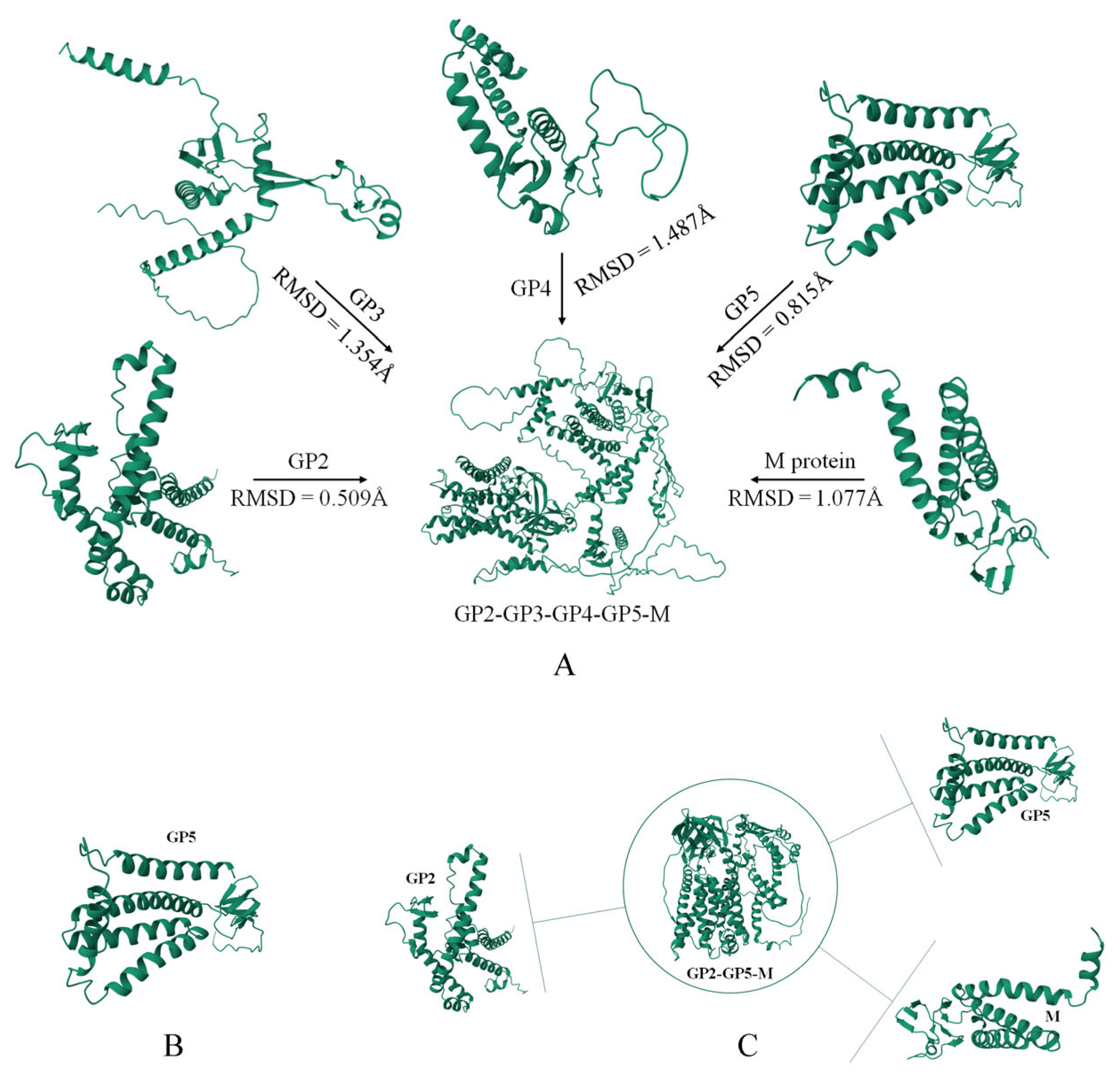 Viruses 16 00544 g003
