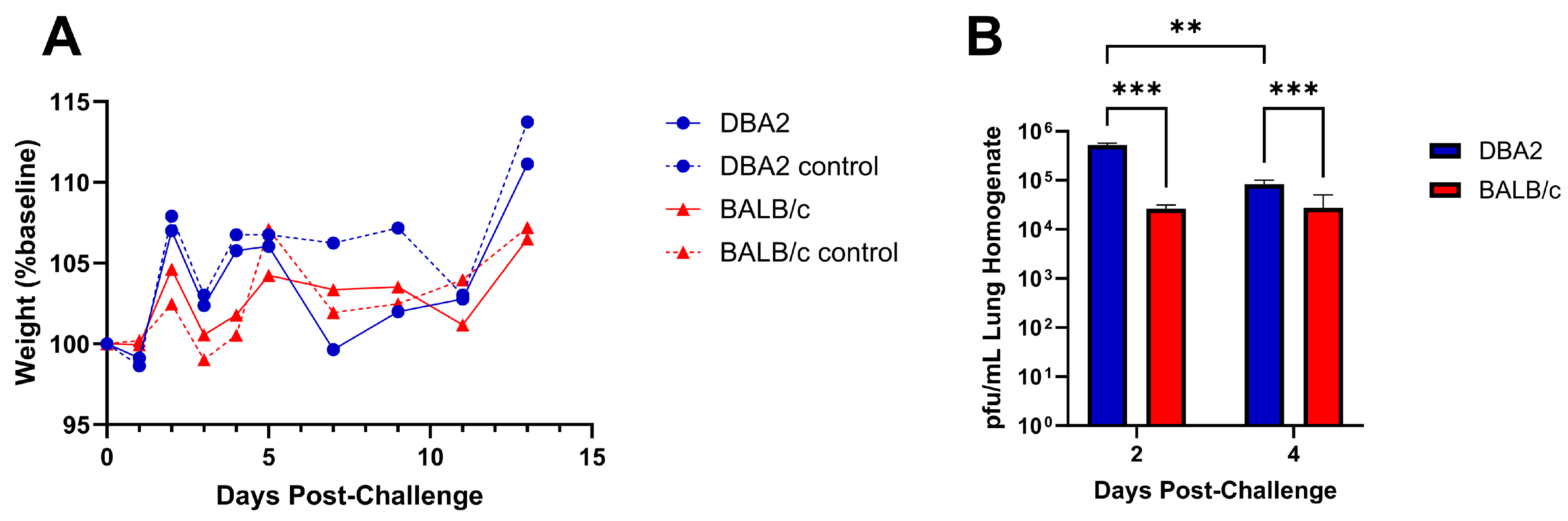 Viruses 16 00548 g003