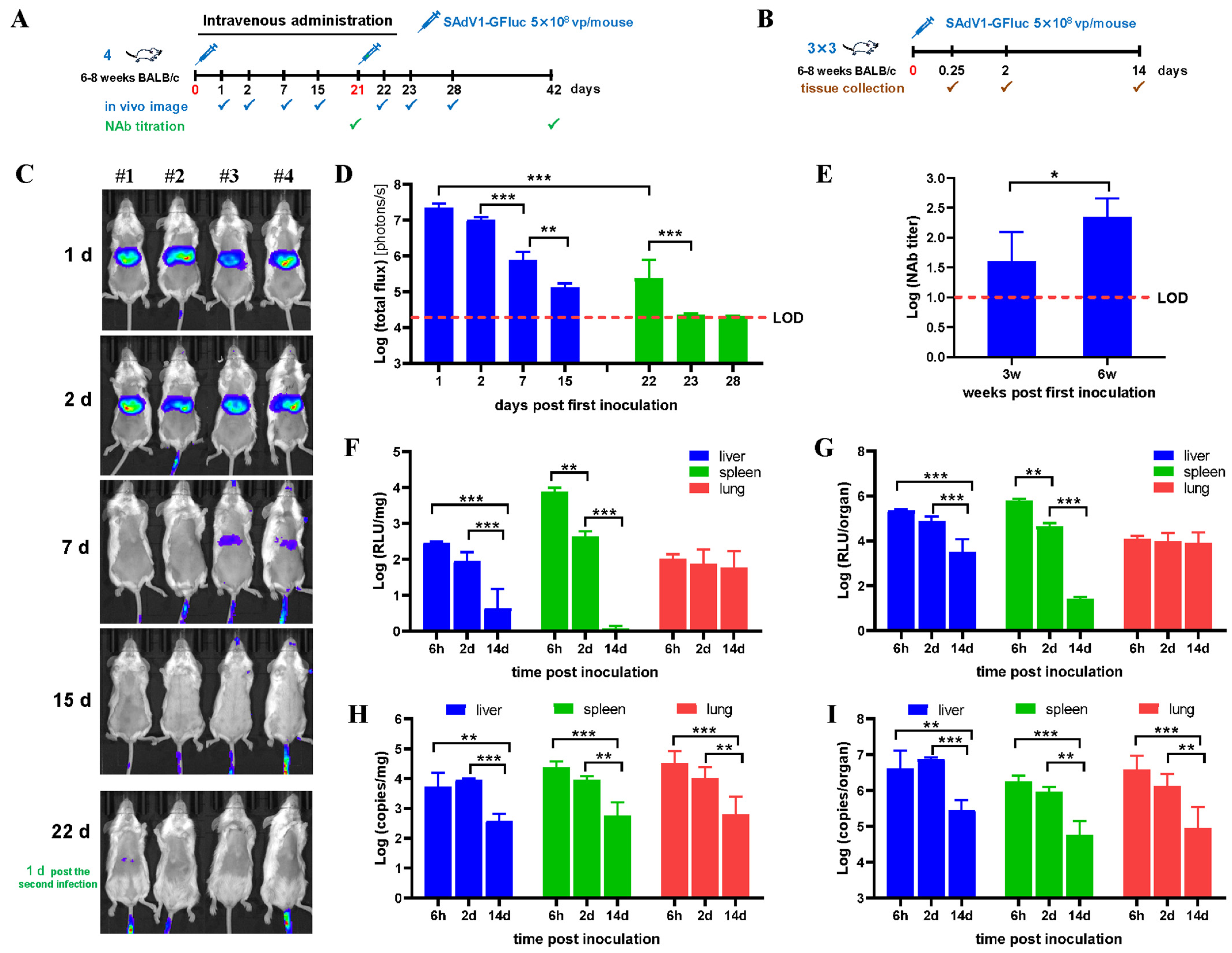 Viruses 16 00550 g002
